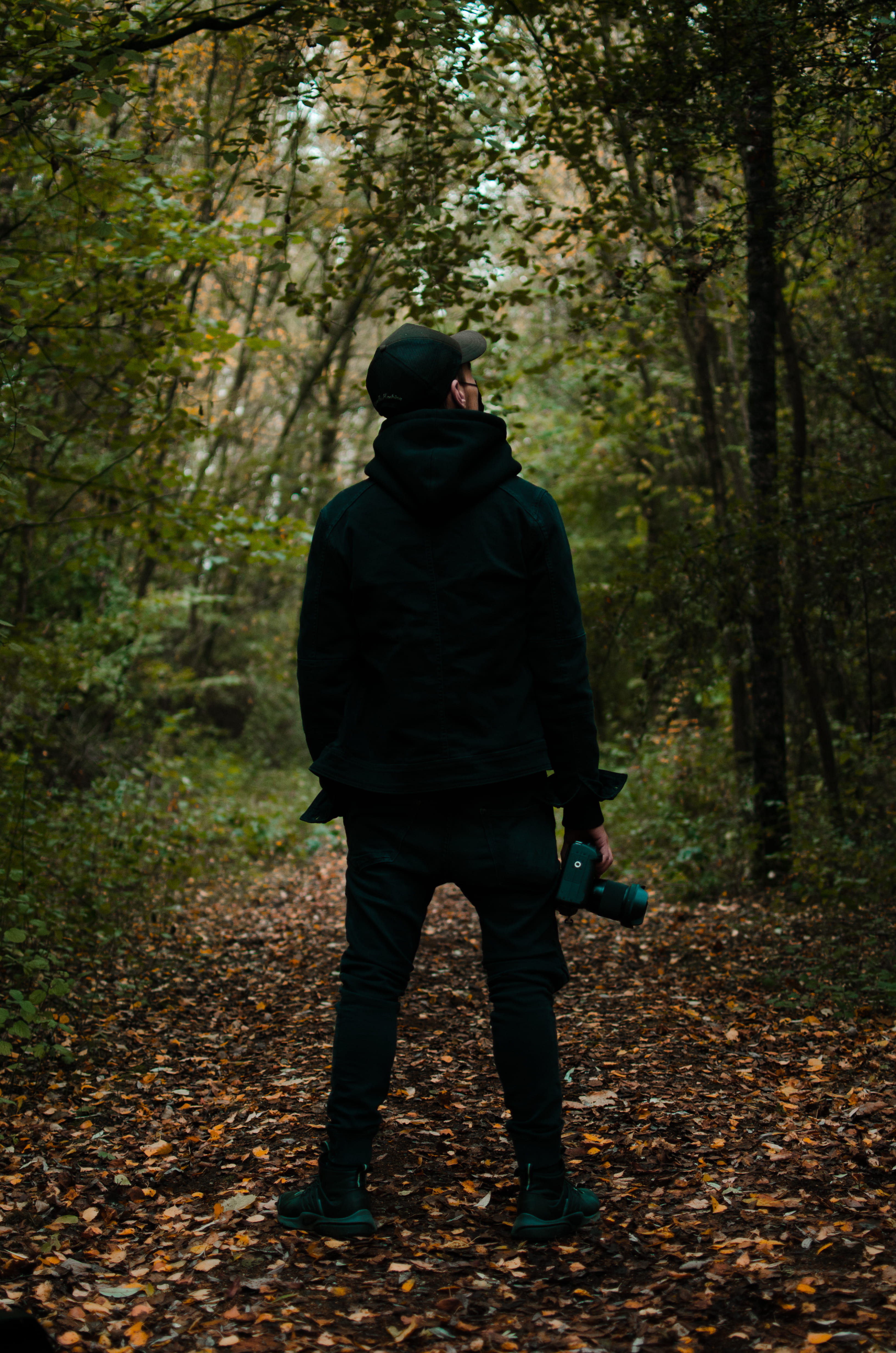 leisure activity, lifestyles, walking, real people, woodland, person, autumn, camera, full length, sweater, top, nature, rear view, nike, leaf, change, Phone HD Wallpaper