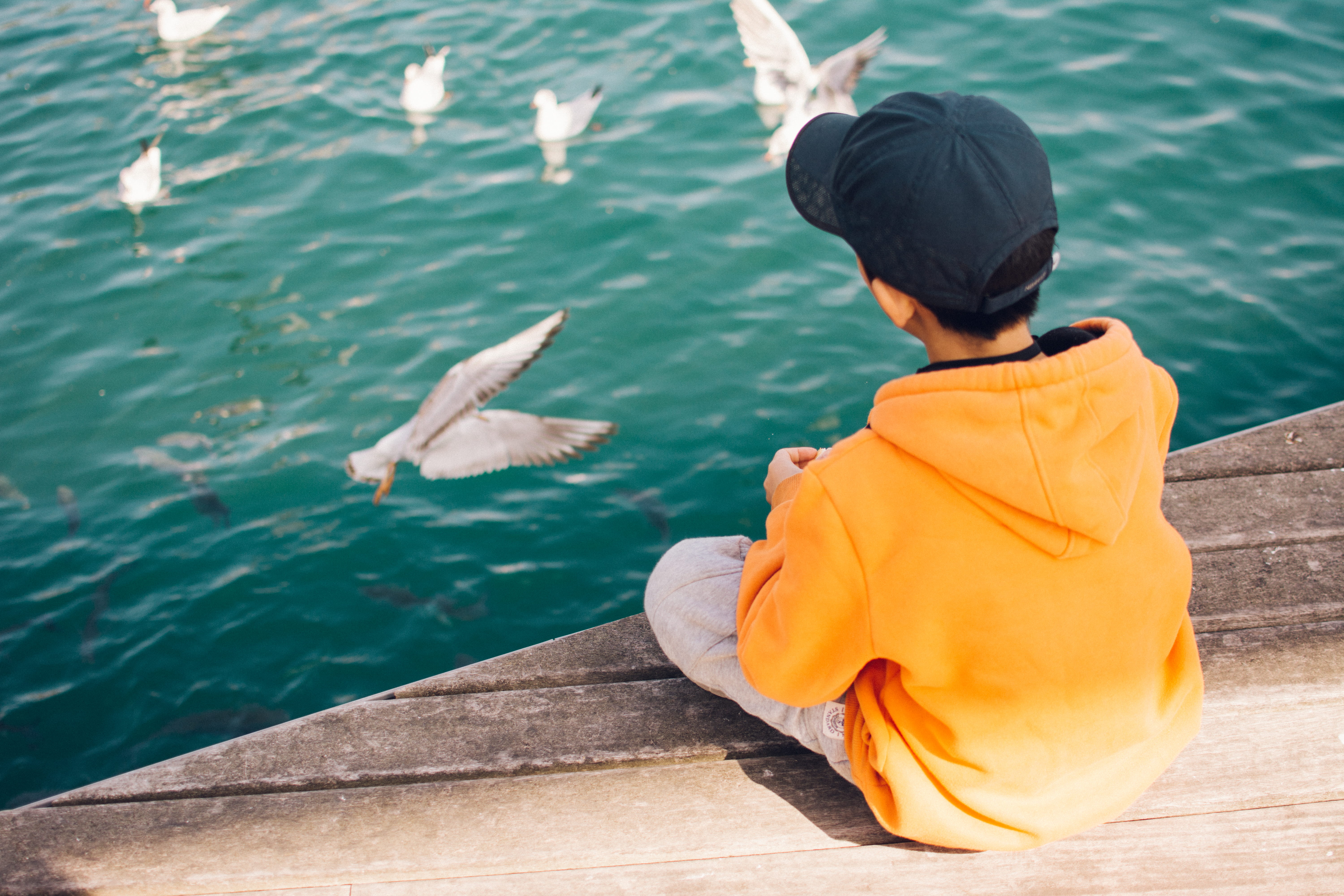 person, seagulls, nature, lake, lifestyles, boy, daytime, full length, sitting, leisure activity, men, alone, cap, one person, near, 5K, water, young, HD Wallpaper