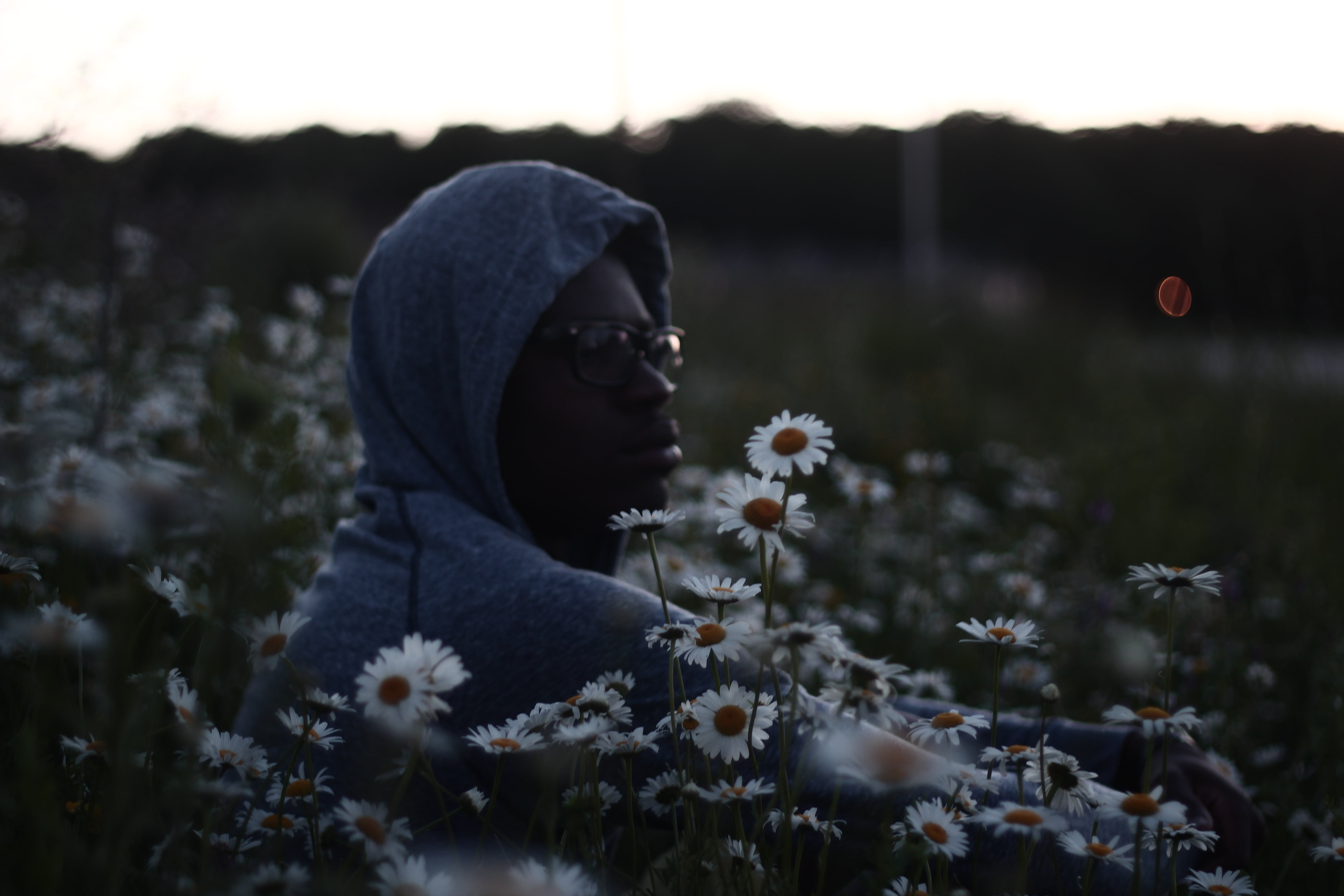 hoodie, sweater, grey, women, day, sunglasses, growth, people, adult, flower, lifestyles, standing, outdoors, hood, guy, headshot, freshness, only women, HD Wallpaper