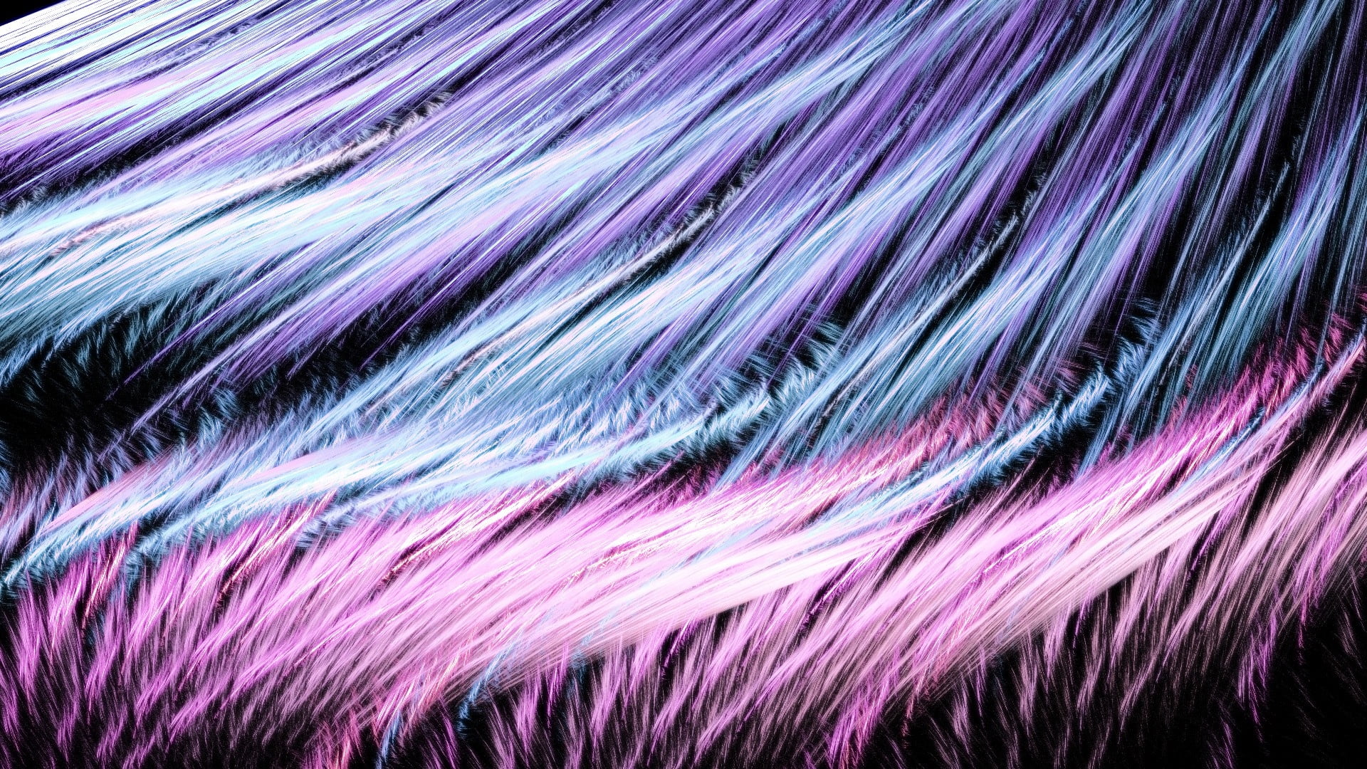 feathers, industry, digital, backgrounds, textured, large group of objects, textile, abundance, 1080P, extreme close-up, power Line, pink, purple, still life, HD Wallpaper