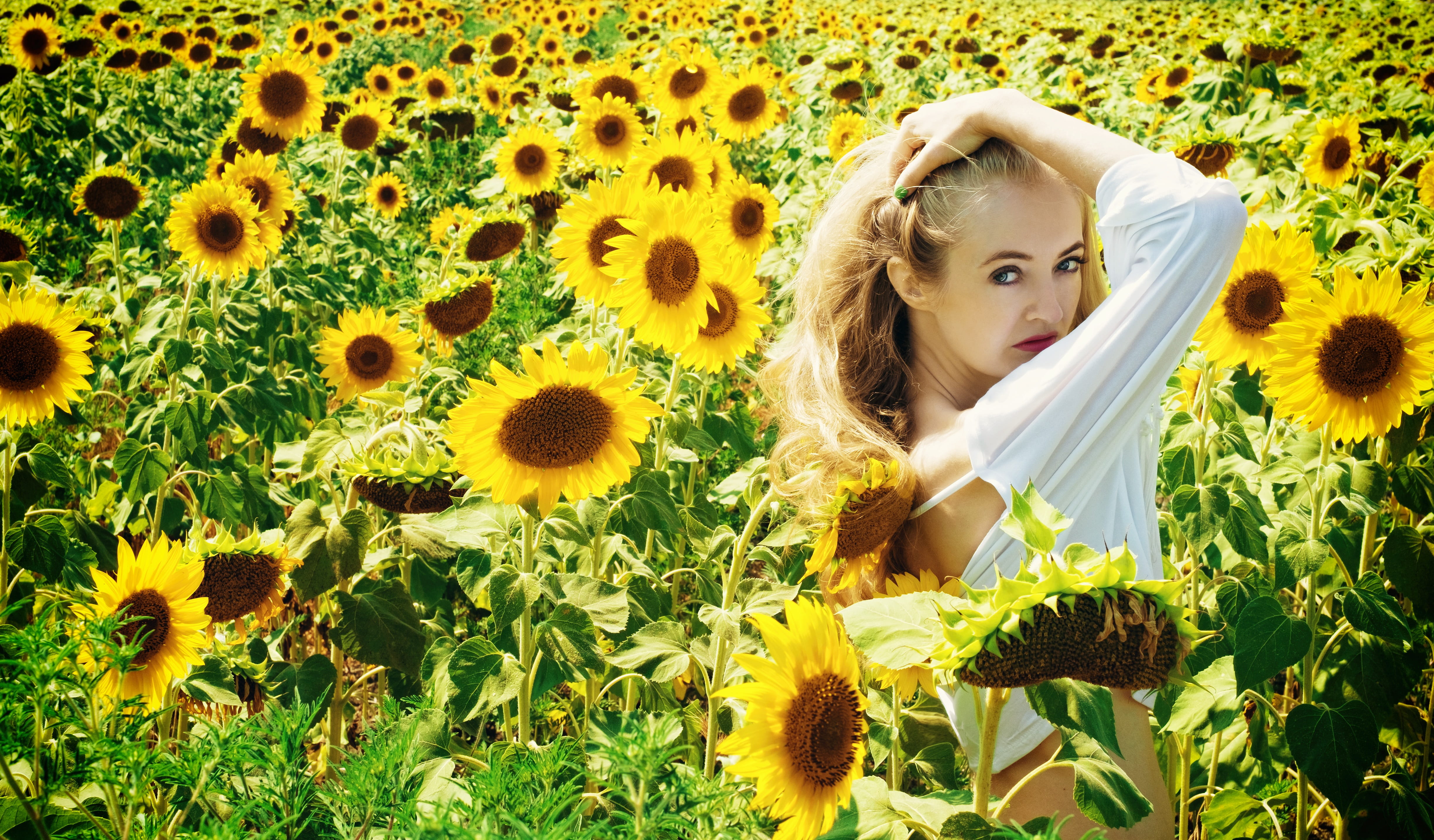 hair, long, flora, flower head, contemplation, beautiful woman, one person, bloom, blond, hairstyle, young women, nature, sunflower, 4K, portrait, flowering plant, HD Wallpaper