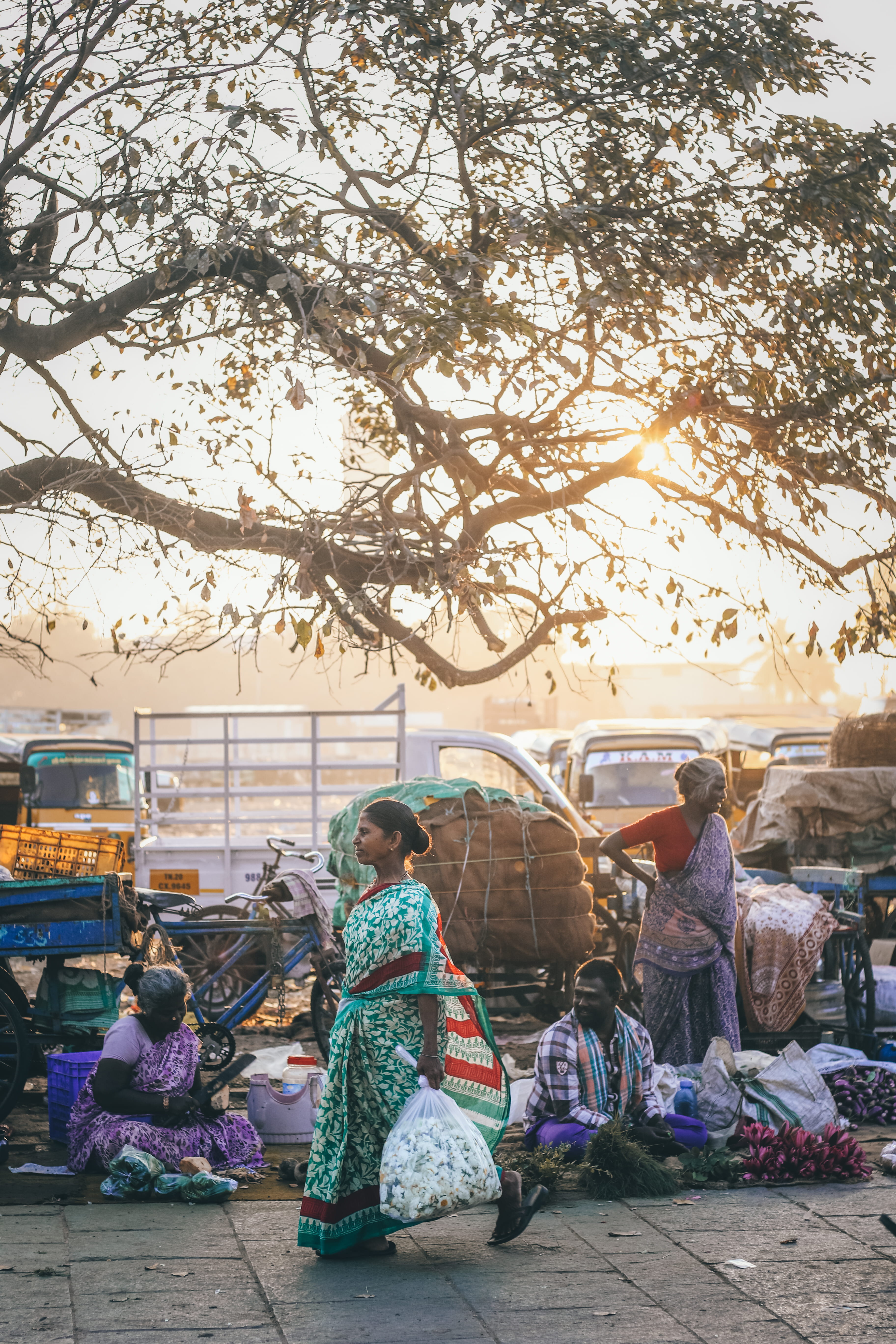 road, indian dress, beside, red, koyambedu, market, leisure activity, wearing, full length, small business, market vendor, sari, streetphotography, plant, Phone HD Wallpaper
