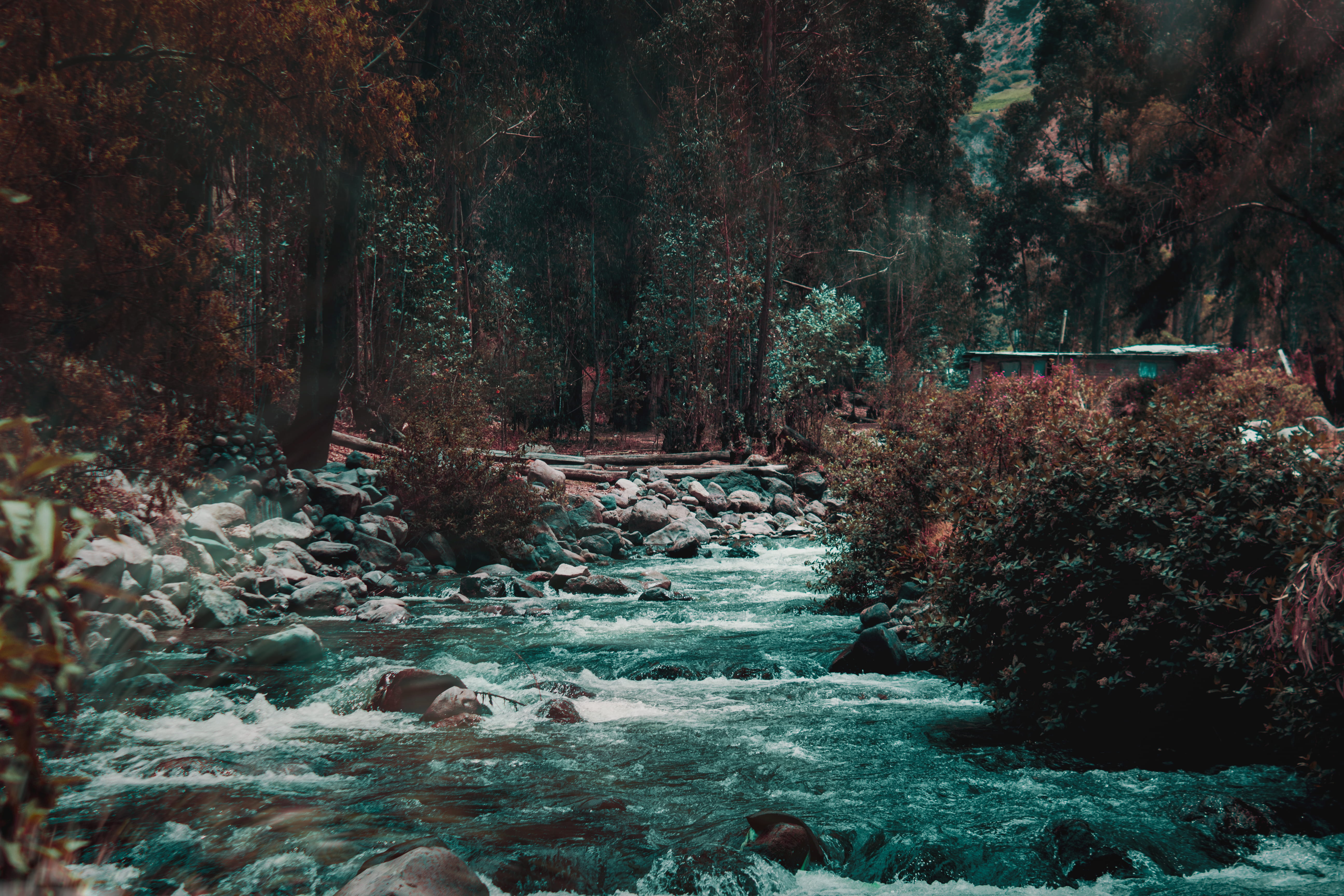 tranquil scene, waterfront, flowing water, non-urban scene, 5K, canonphotos, outdoors, colors, forest, nature, naturephotography, unsplash, HD Wallpaper