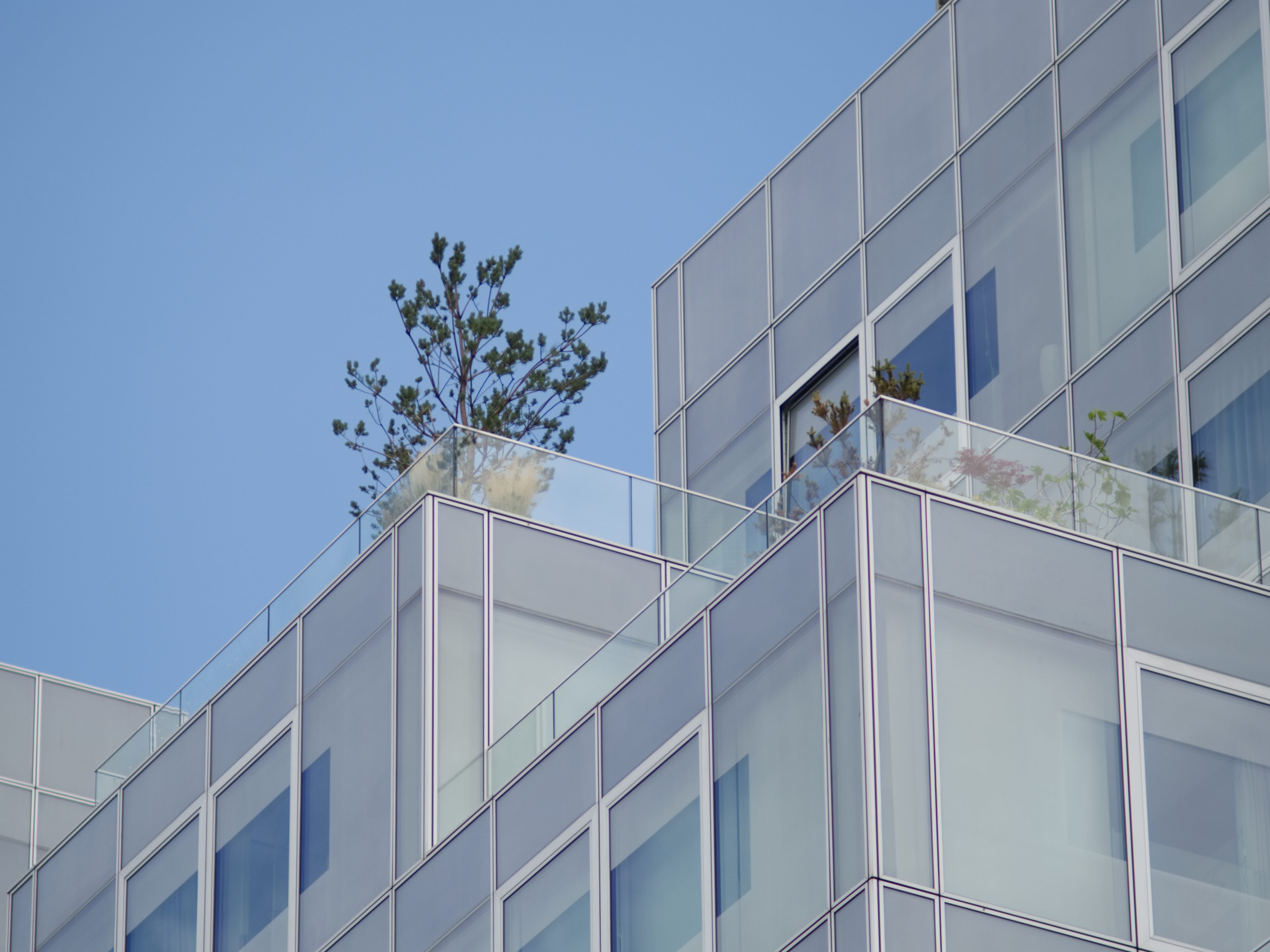 building, glass - material, day, nature, skyline, tree, render, blue, sky, window, reflection, clear sky, outdoors, city, brutal, HD Wallpaper