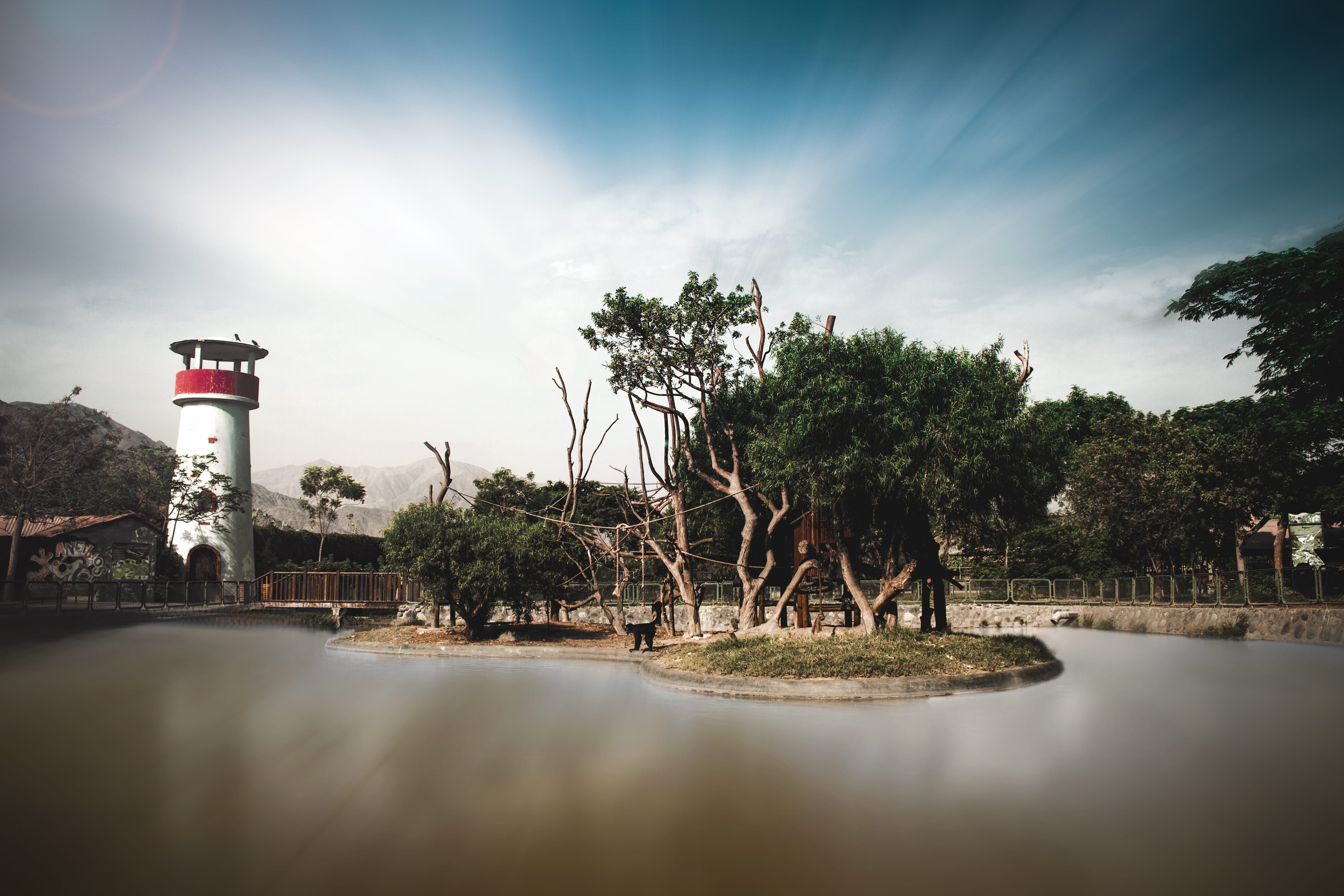 animals, canon, landscape, canonperu, 5K, built structure, growth, day, reflection, tower, sky, monkeys, group of people, nature, naturephotography, cloud - sky, HD Wallpaper