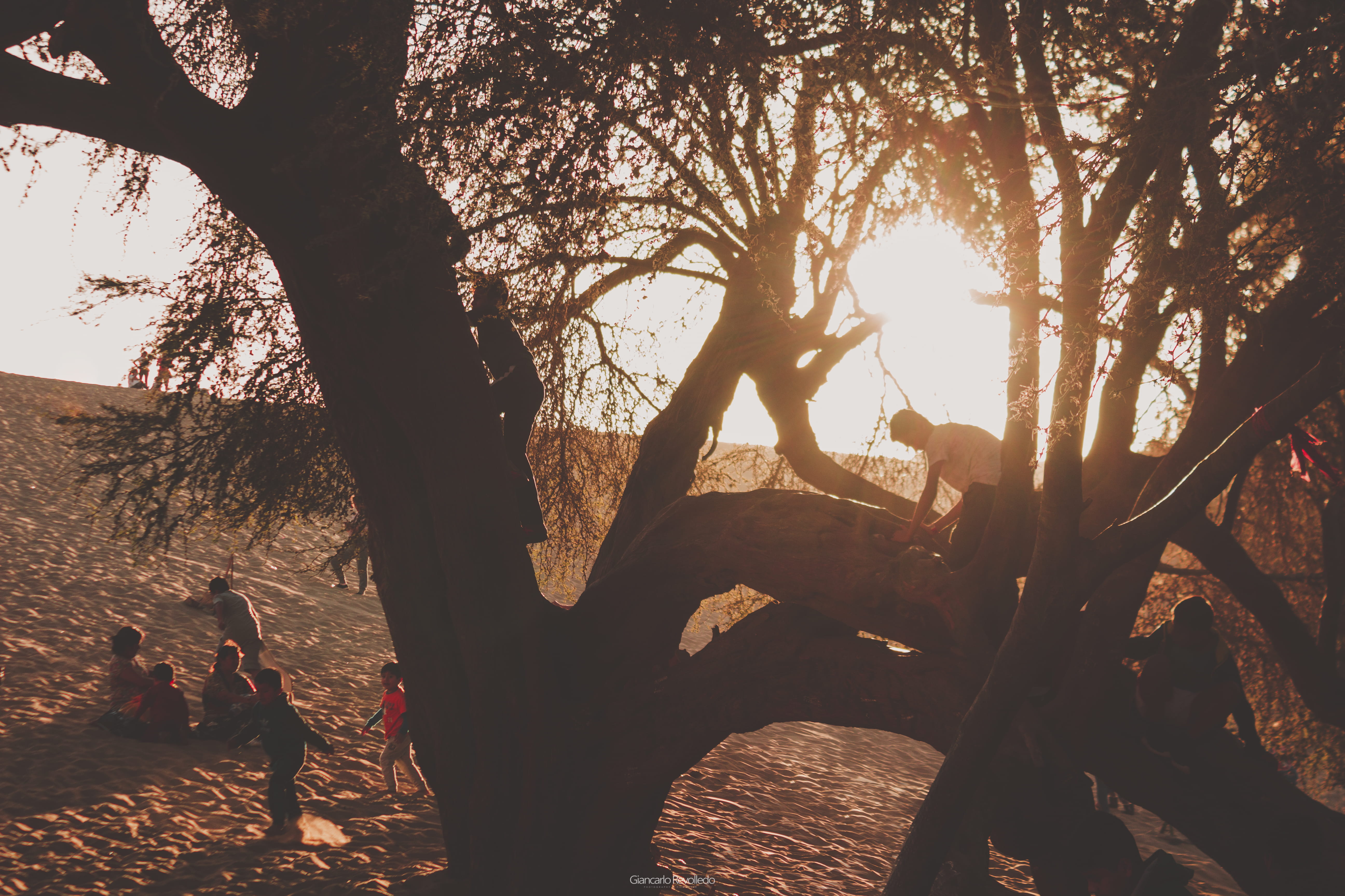 pic, day, land, sunset, huacachina, peru, nature, childrens, sunlight, lens flare, warmpic, tranquility, camera, canon, android, growth, landscape, HD Wallpaper