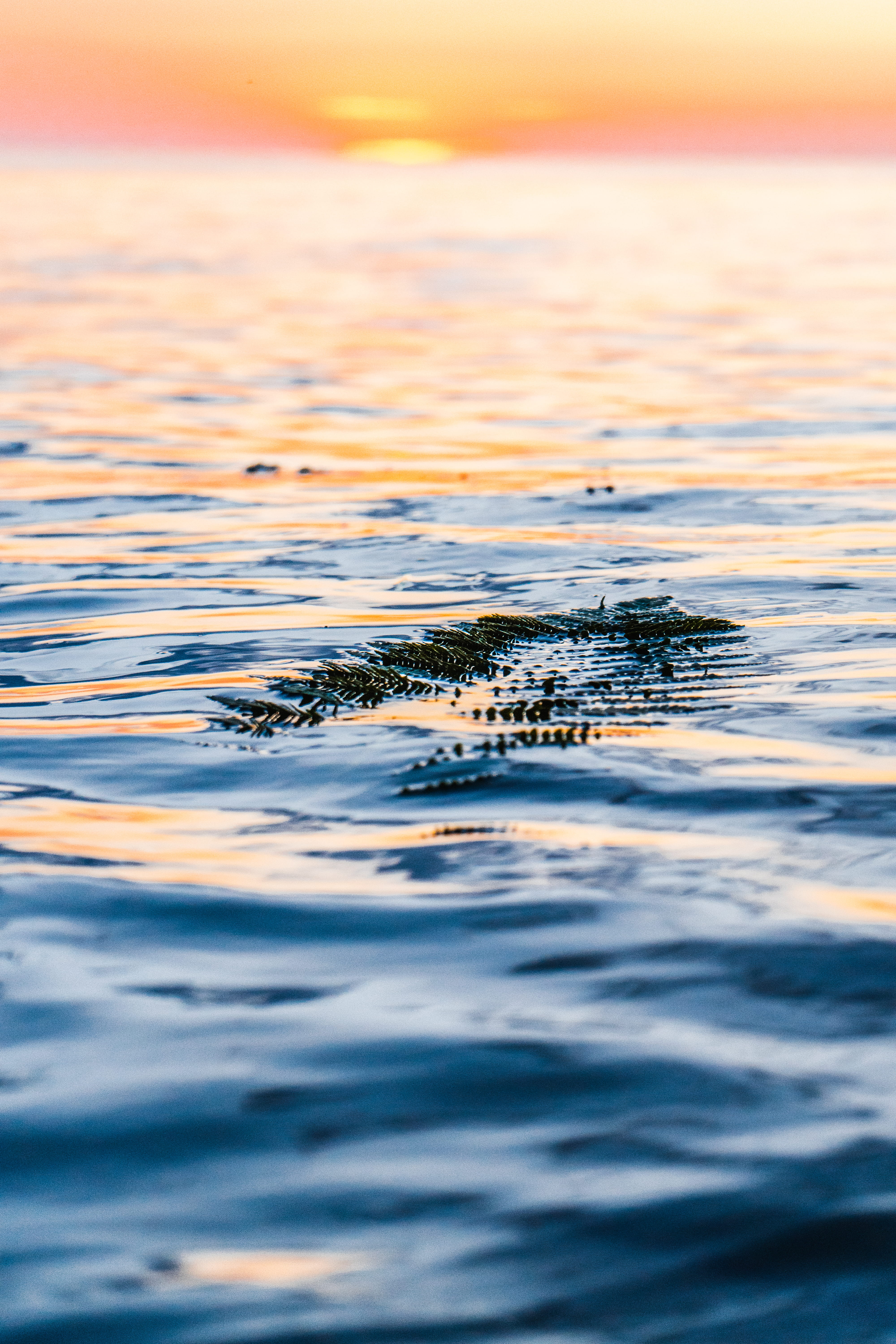 closeup, sunlight, 5K, morning, reflection, orange Color, tranquil Scene, beauty In Nature, shimmer, wave, wet, sea, sky, silver, day, dawn, motion, bright, Phone HD Wallpaper