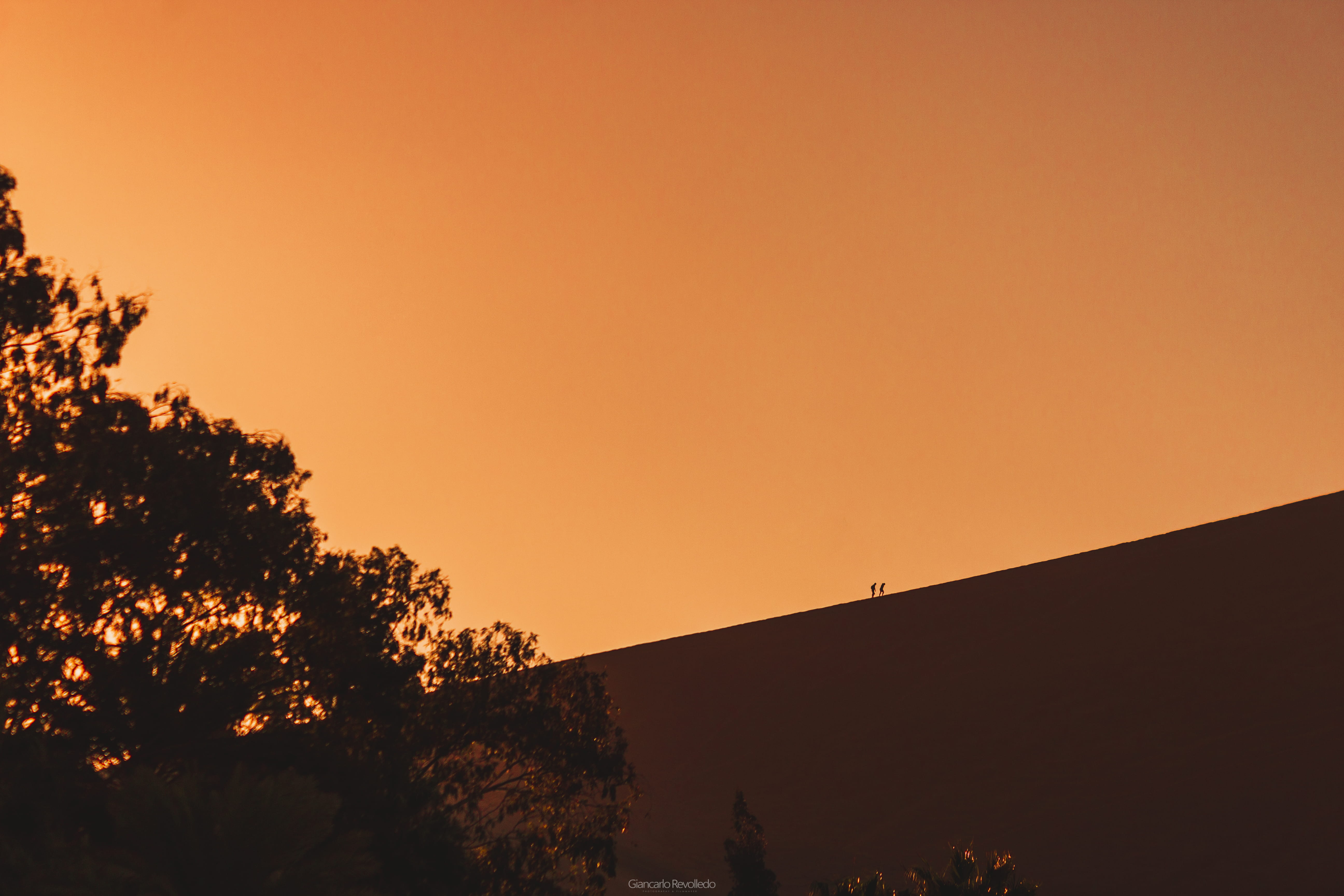 growth, 5K, canon, canonphoto, trees, building exterior, architecture, beauty in nature, copy space, adventures, orange color, mountain, sky, HD Wallpaper