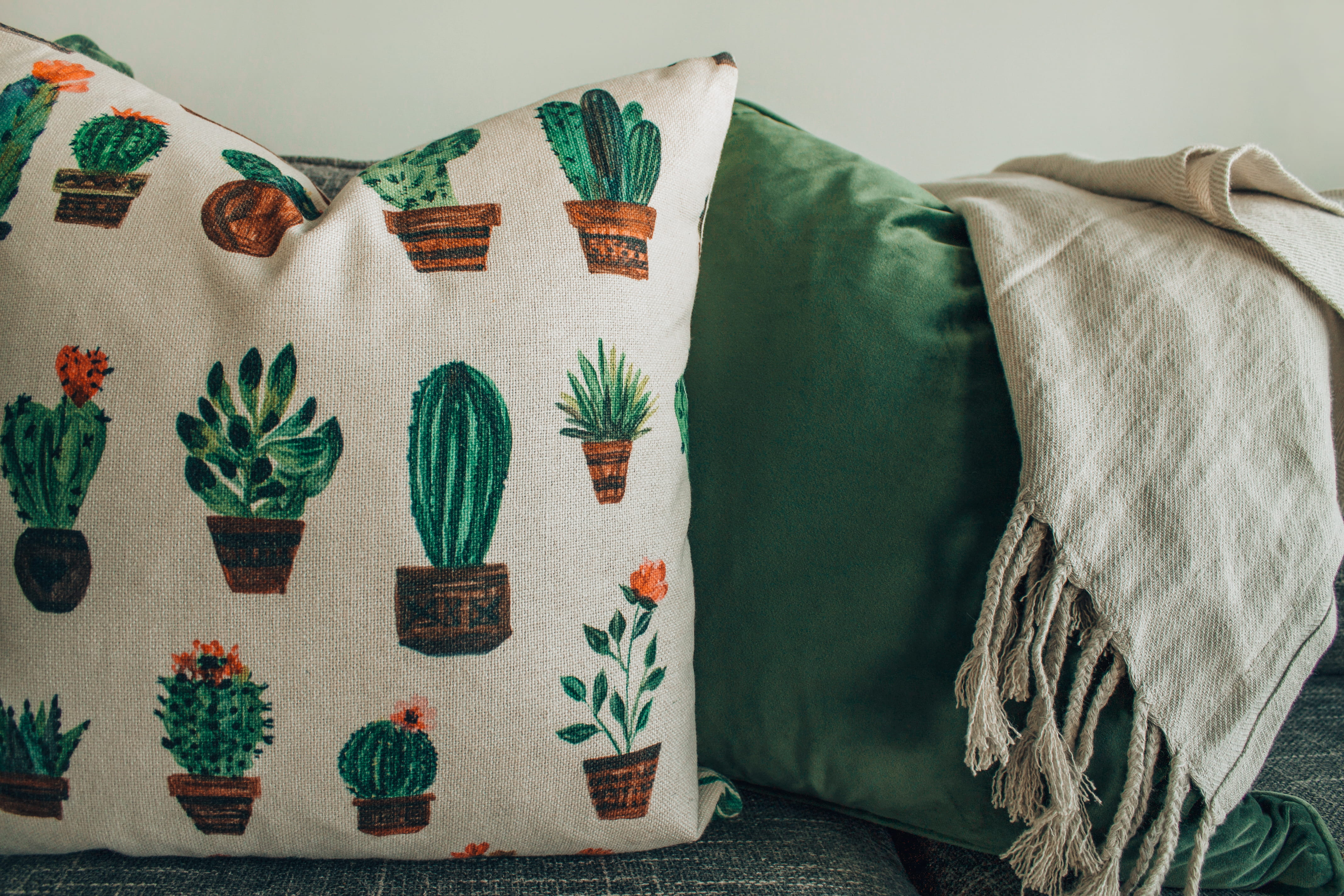 indoors, preparation, cactus, furniture, brown, creativity, fabrics, hanging, 4K, wall - building feature, pillow, cactuses, modern, room, green, cactus flower, HD Wallpaper