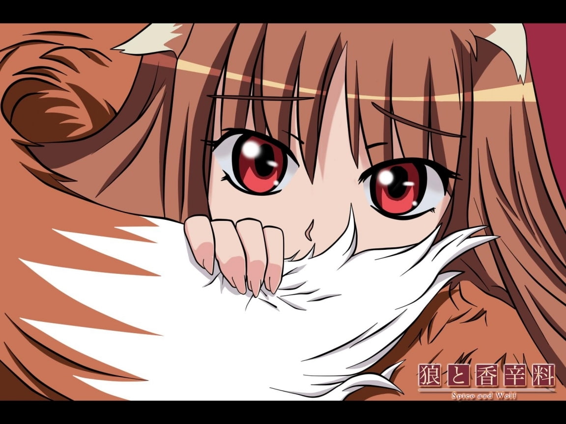 art, wolf, hot, hd, Spice and Wolf, 480P, ookami, wise, anime, holo, x, spice, HD Wallpaper