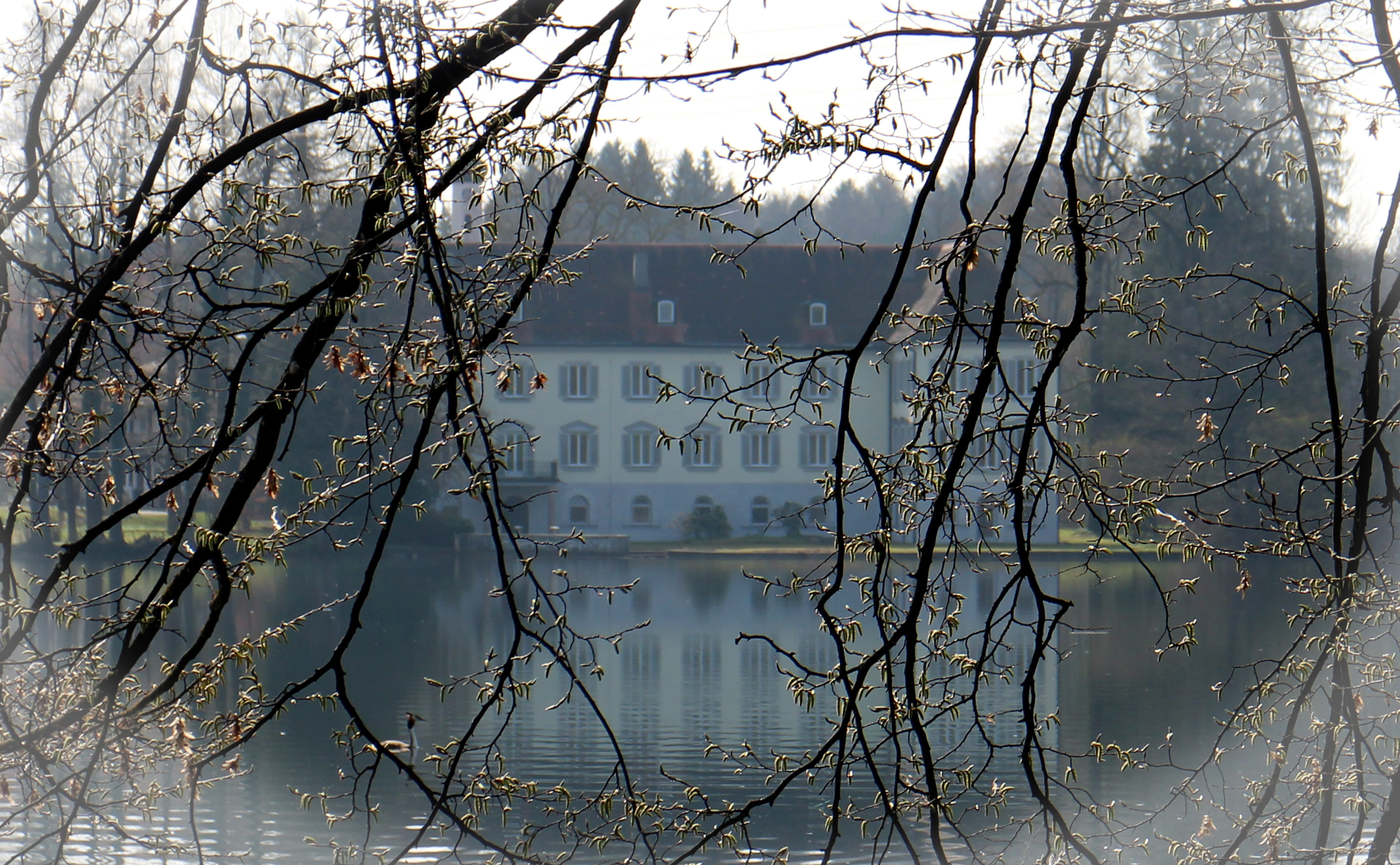 outdoors, architecture, built structure, day, sky, water, 5K, tranquility, waterfront, branch, castle hartmann mountain, plant, romance, lake, castle, HD Wallpaper