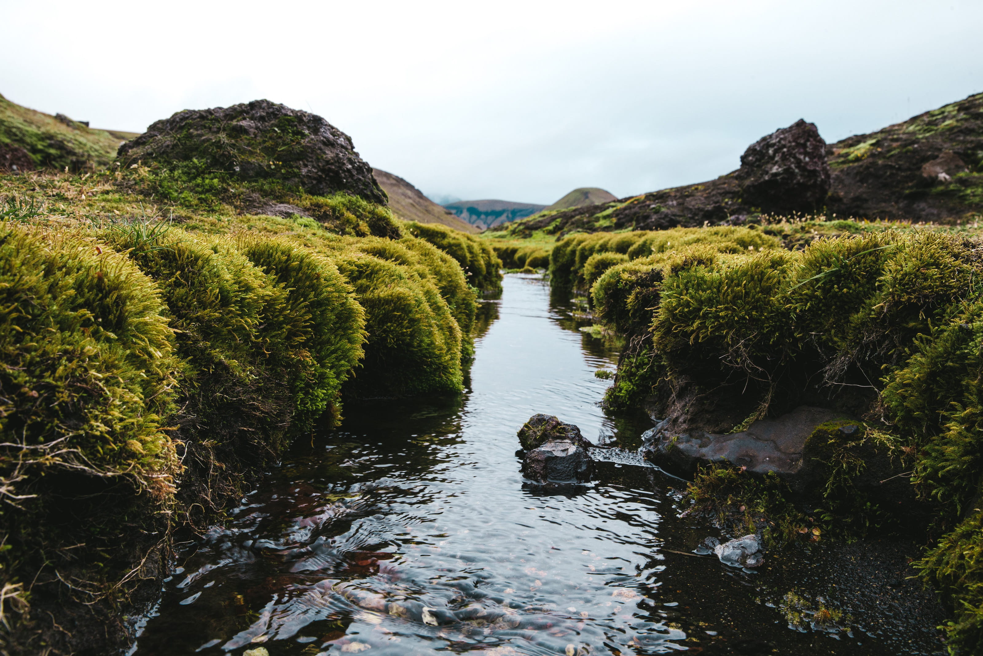 2K, forest, tranquility, green, reflection, moss, flowing, stream - flowing water, pond, cloudy, scenics - nature, leaves, outdoors, around, solid, rock, HD Wallpaper