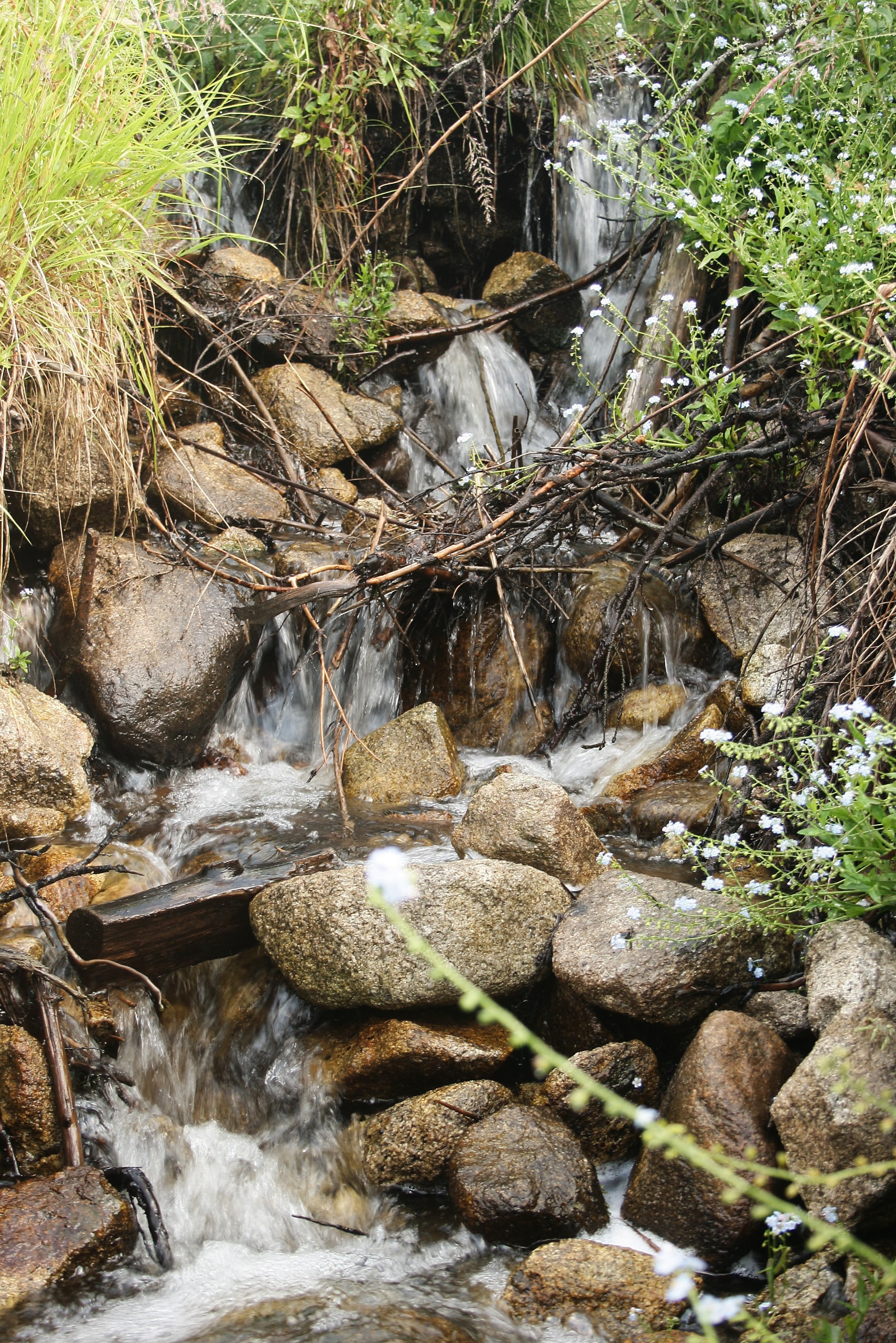 creeks, tree, rivers, rock - Object, beauty in nature, flowing water, springs, mountains, leafy, falling, hard, water, no people, river, rocky, scenery, Phone HD Wallpaper