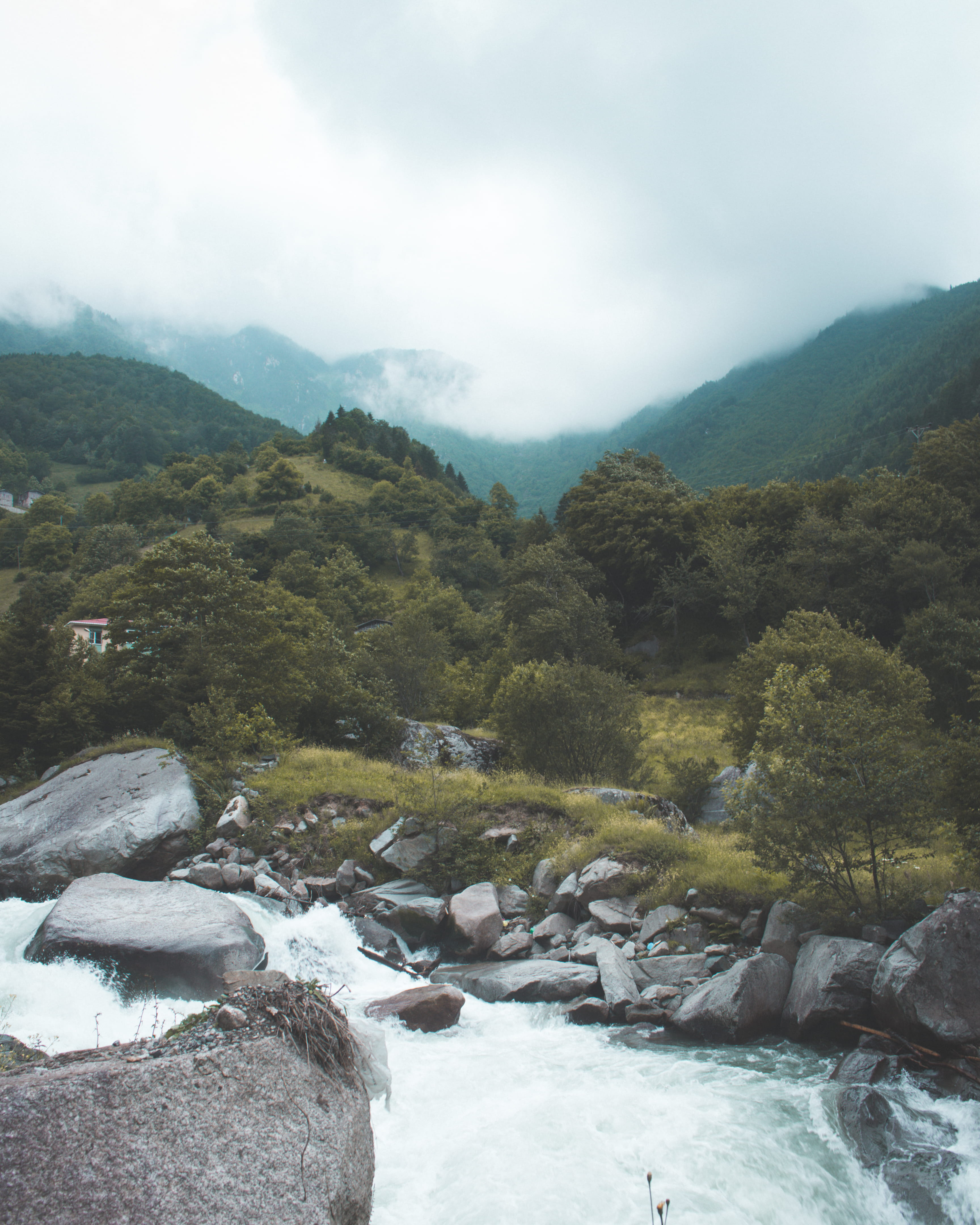 stream, environment, forest, flowing water, rapids, rocks, outdoors, mountain, sky, flow, river, landscape, scenic, scenery, nature photography, nature, Phone HD Wallpaper