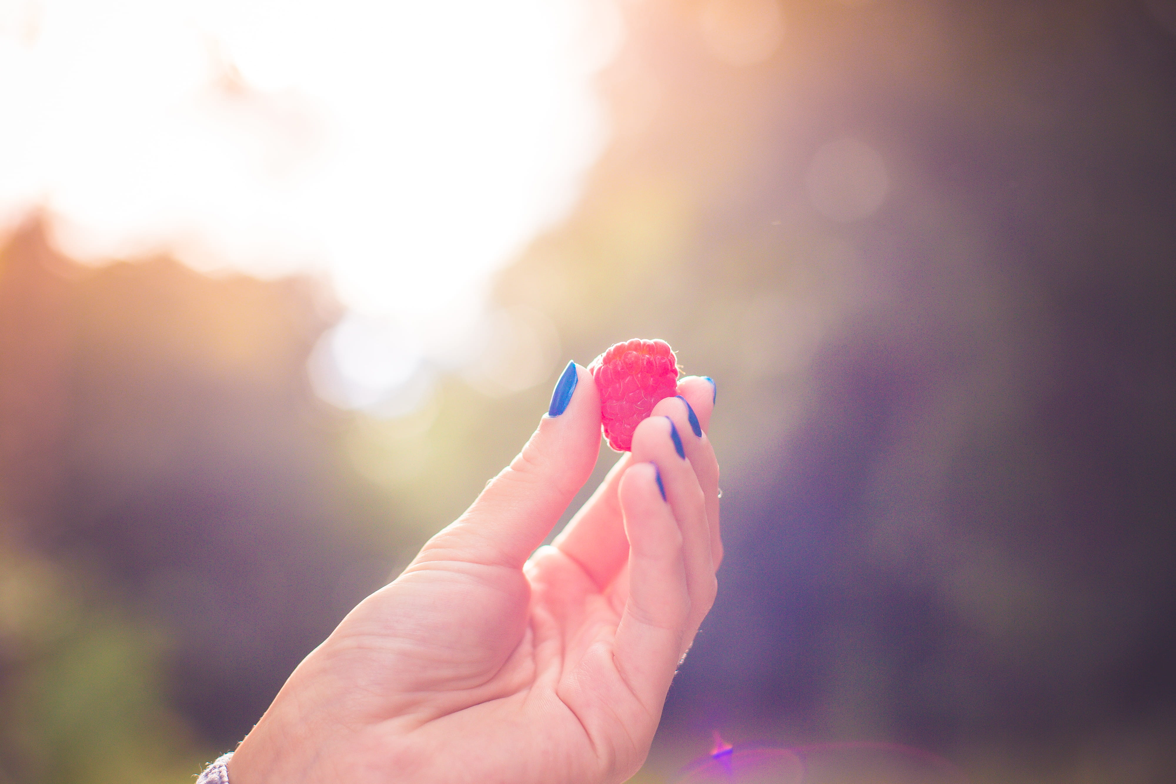 real people, 4K, sun, human finger, human limb, outdoors, close-up, healthy, abstract, adult, nails, holding, women, forest, body part, bokeh, Raspberry, HD Wallpaper