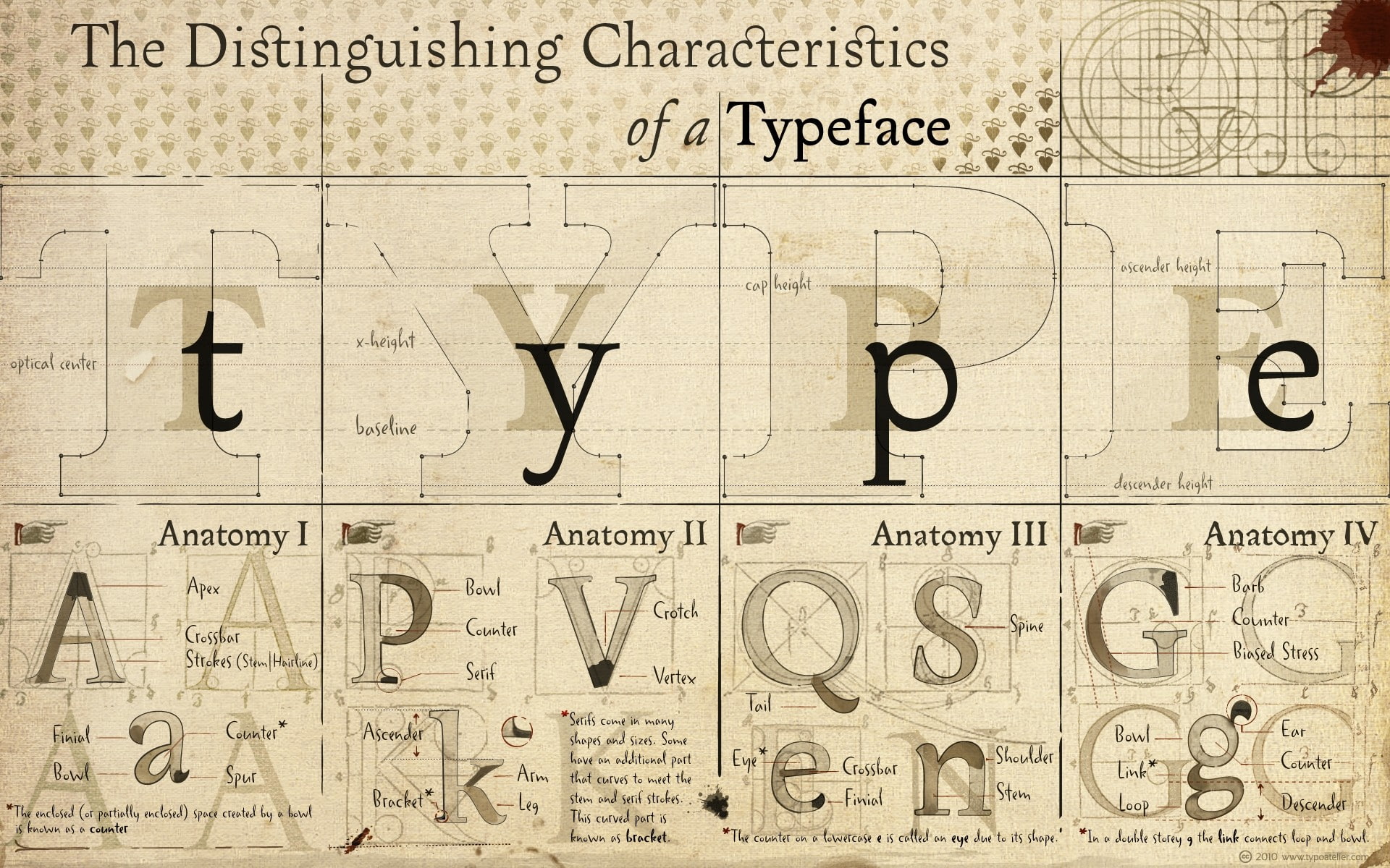 Typefaces, Typography, drawings, Anatomy, Font, Alphabet, 1080P, Diagram, HD Wallpaper