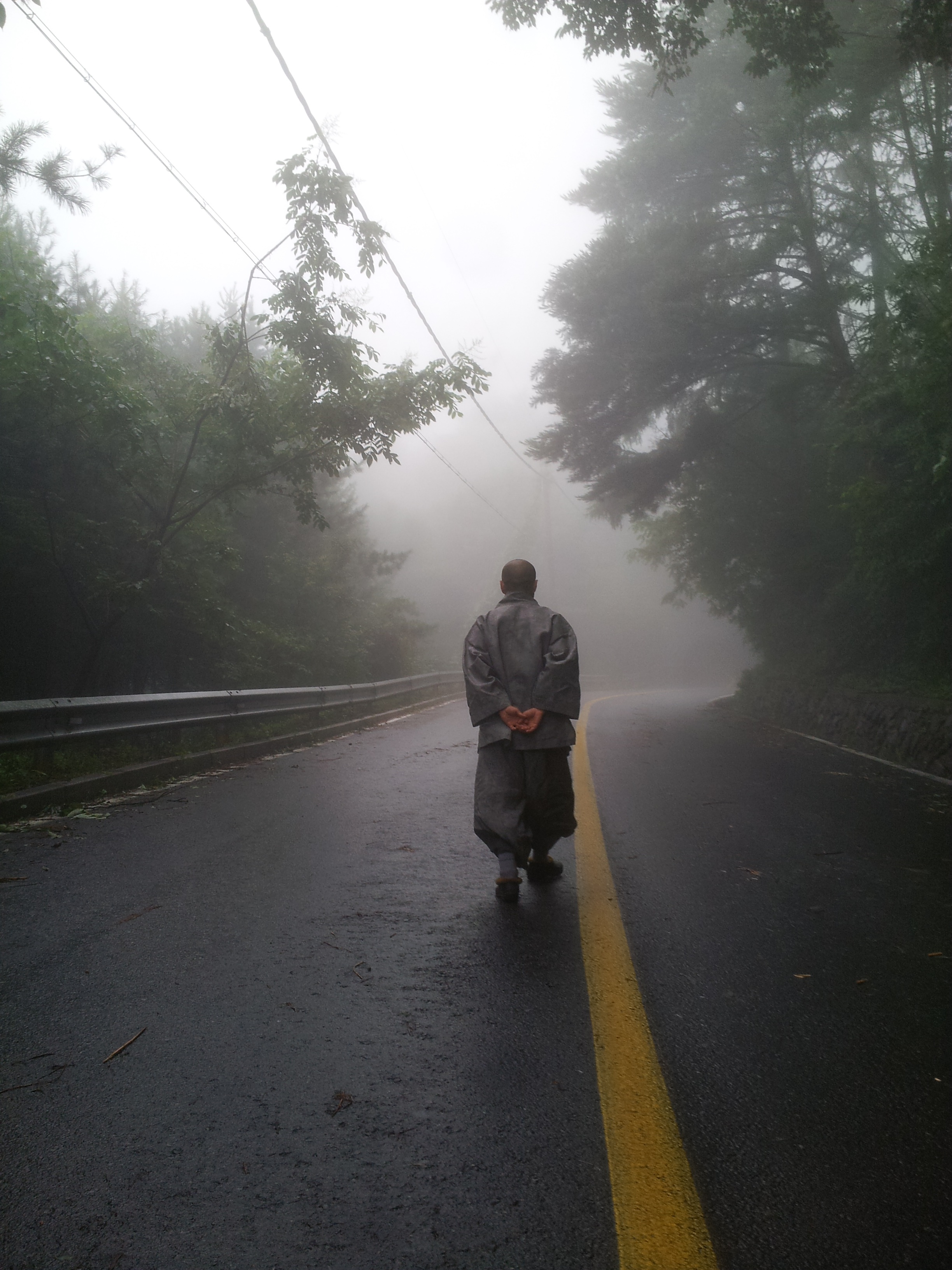 road marking, nature, transportation, full length, the way forward, men, fog, tree, road, marking, direction, lifestyles, topic, real people, performer, Phone HD Wallpaper