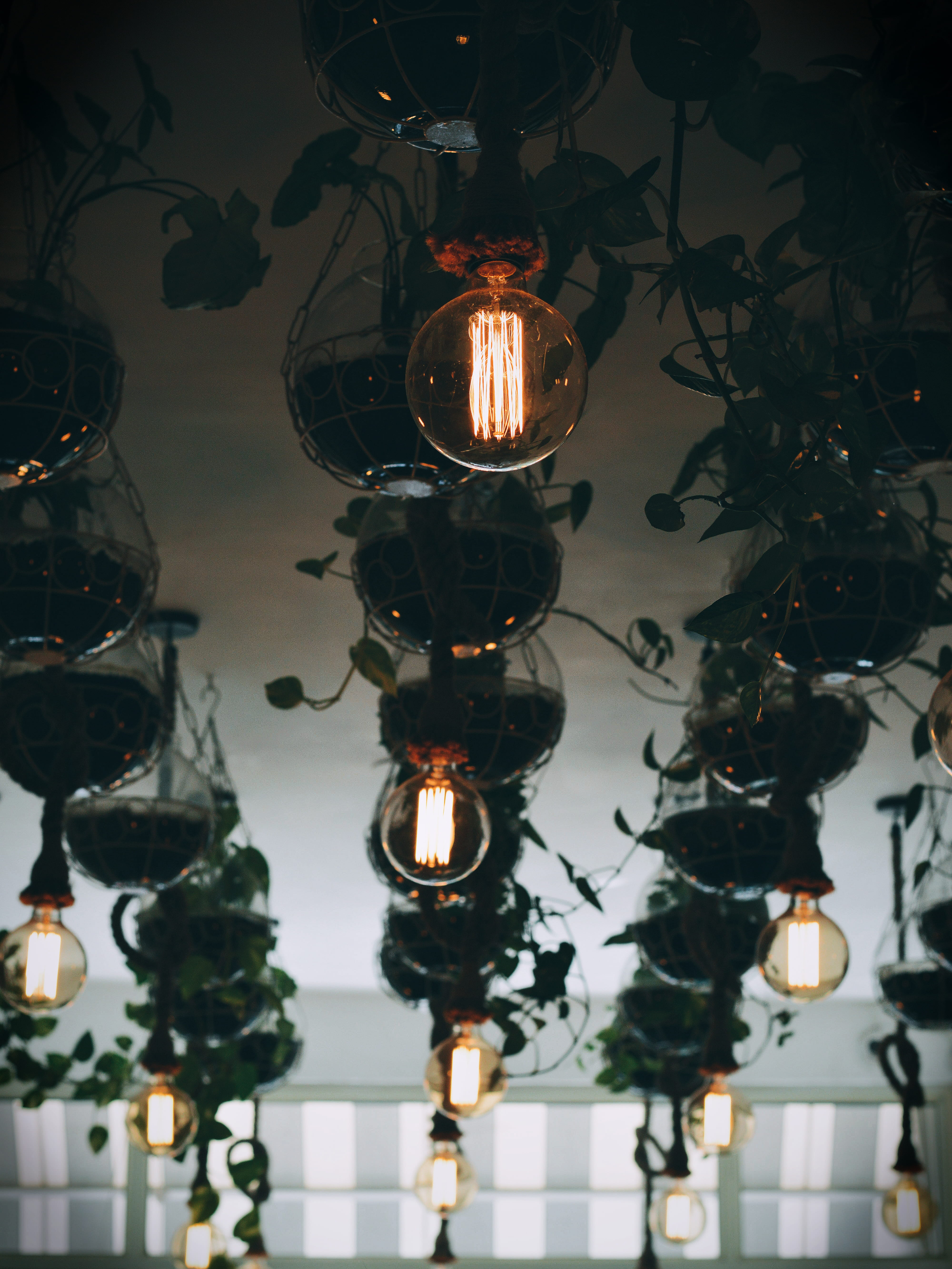 light - natural phenomenon, 5K, low angle view, window, lamp, lantern, bulbs, plant, vintage, hanging, no people, clear, electricity, lighting equipment, Phone HD Wallpaper