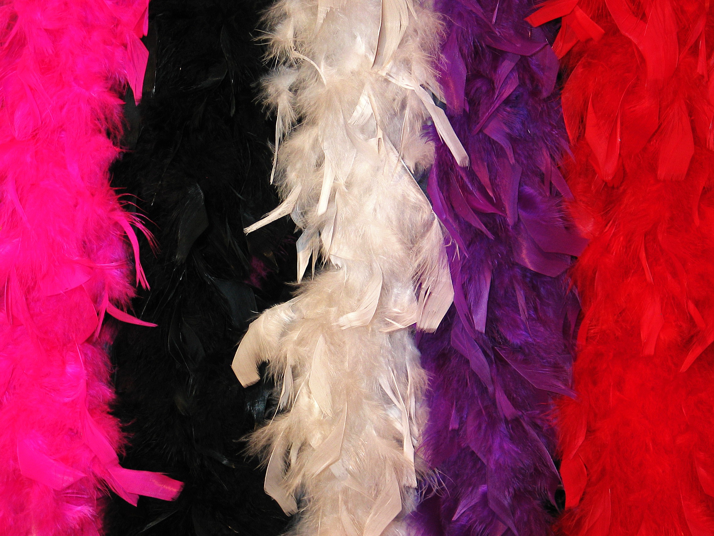 still life, abundance, close-up, variation, multi colored, color, studio shot, feather, stoles, colorful, abstract, choice, celebration, smoke - physical structure, HD Wallpaper