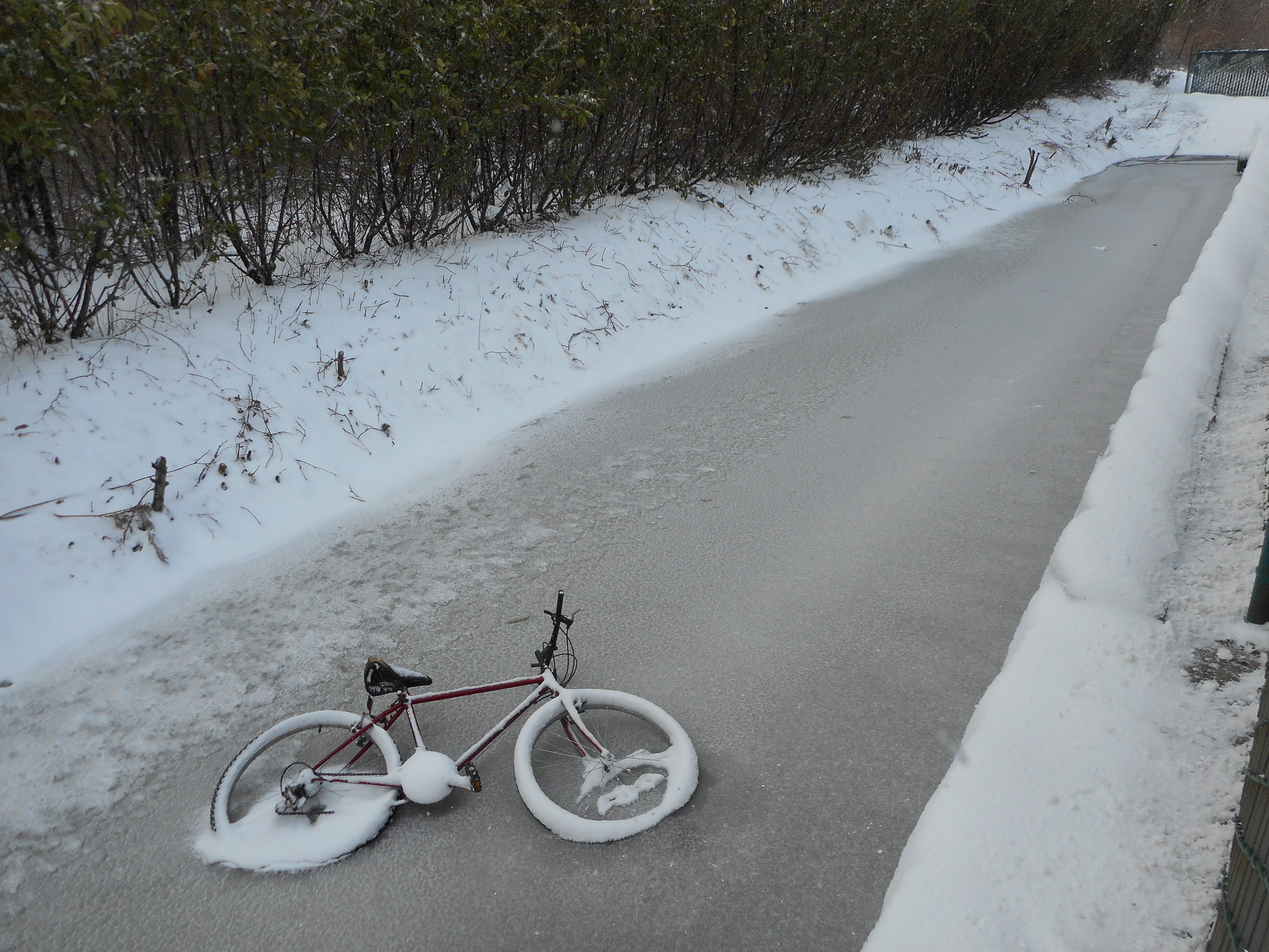 winter, white color, bicycle, nature, stolen bike, covering, field, high angle view, plant, no people, cold temperature, 5K, frozen, beauty in nature, HD Wallpaper