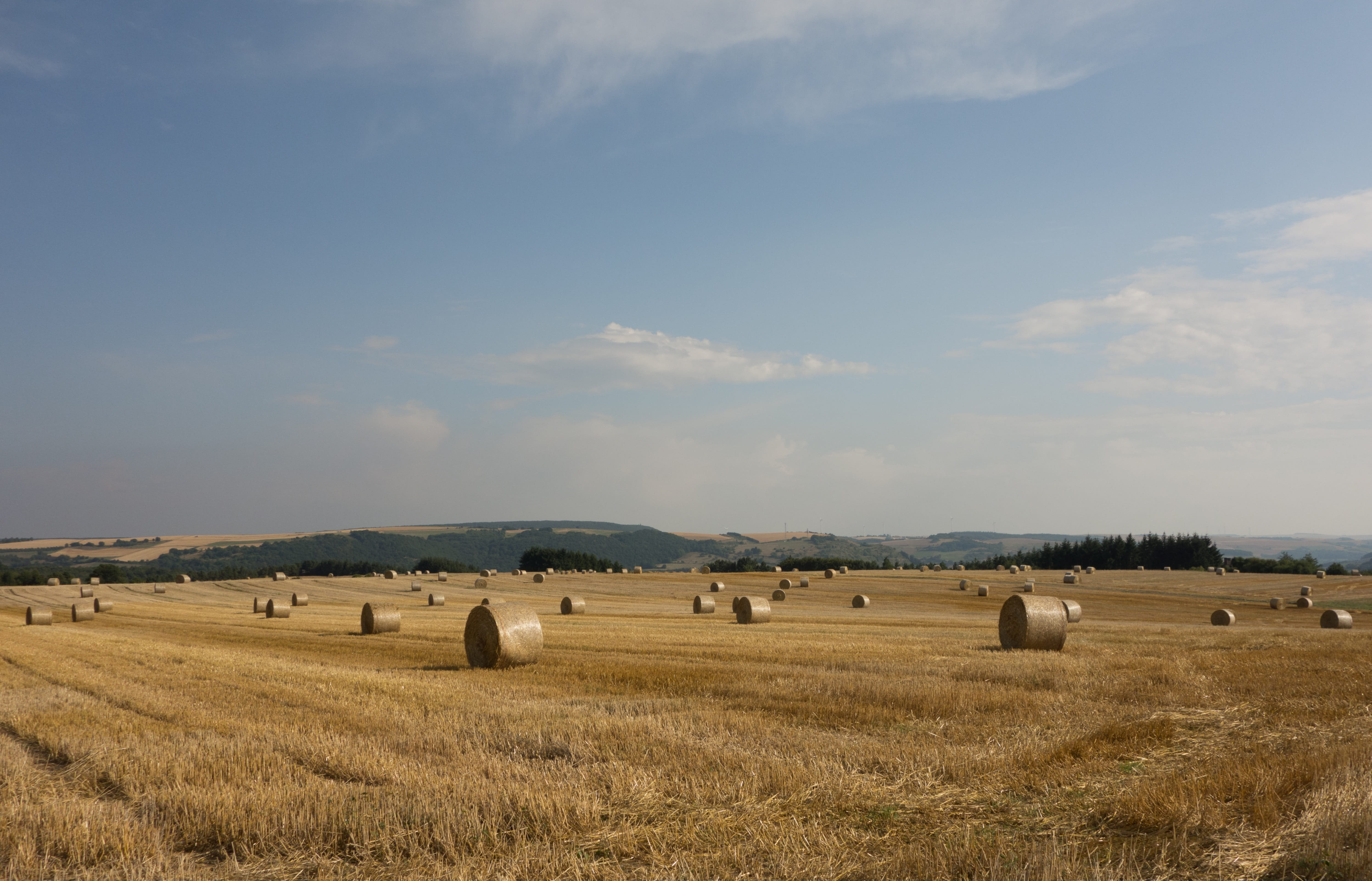 4K, harvesting, plant, farm, cloud - sky, summer, day, nature, no people, hay, animal themes, environment, agriculture, Round, rural scene, outdoors, round bales, HD Wallpaper