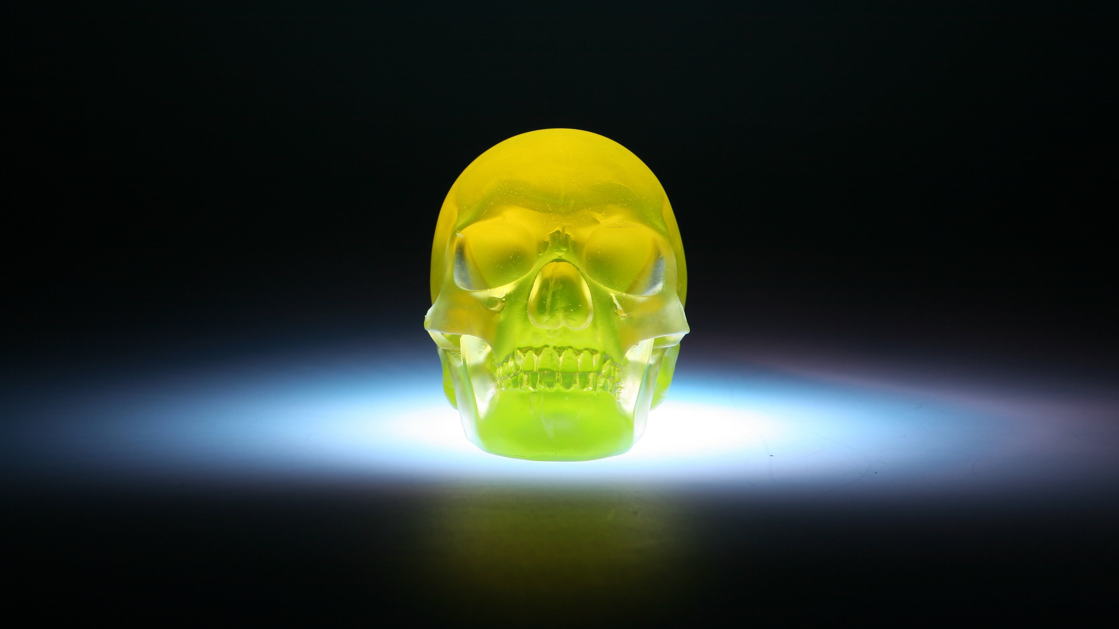 poisonous, indoors, illuminated, protection, skull, bizarre, healthcare and medicine, spotlight, yellow, single object, black background, studio shot, aggression, HD Wallpaper