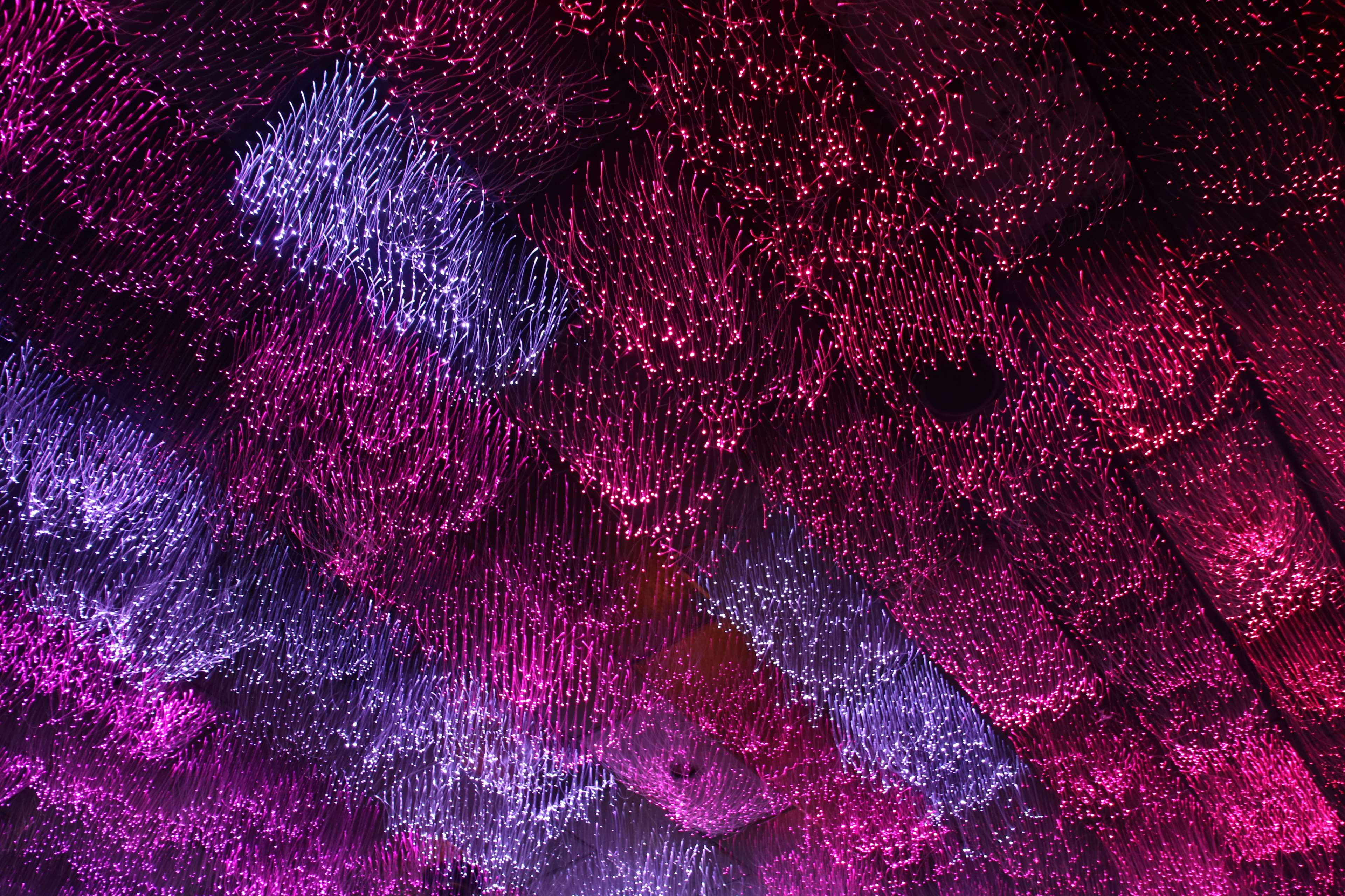 animal, bright colours, astronomy, backgrounds, night, no people, close-up, purple, science, multi colored, beauty in nature, red, texture, art and craft, HD Wallpaper