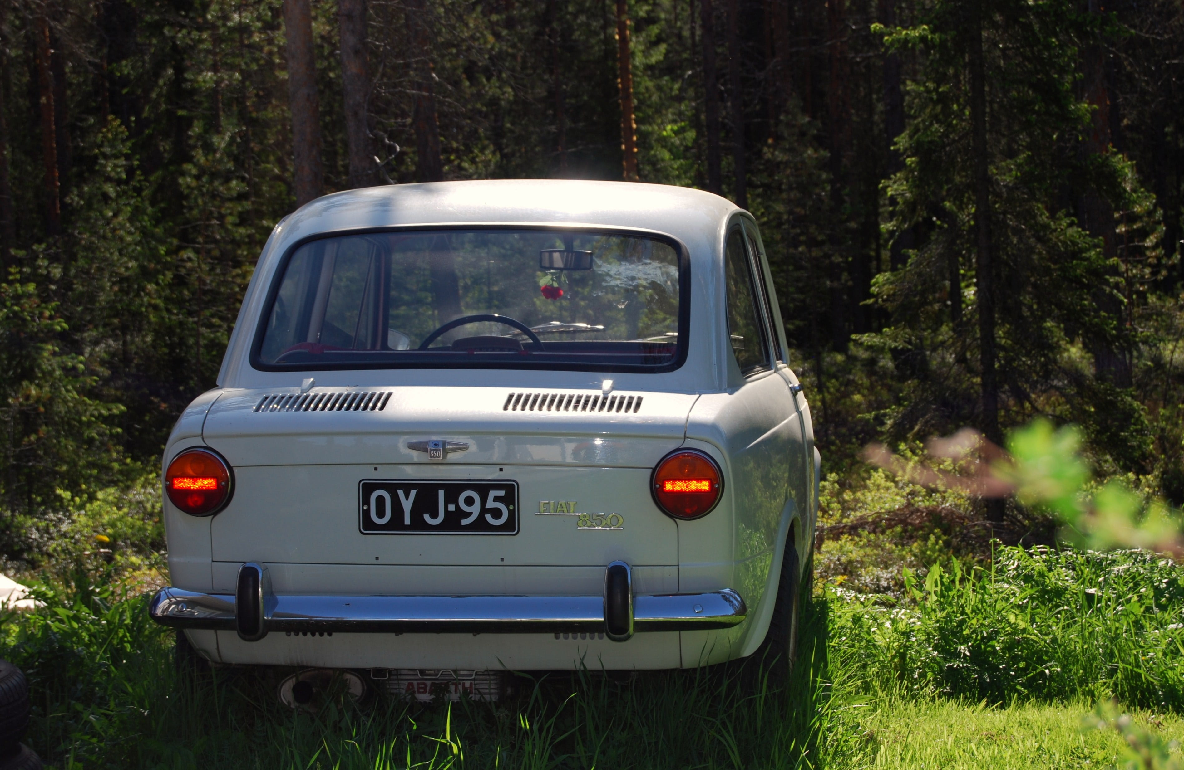 motor vehicle, grass, summer, resto, fiat 850, day, plant, car, old, no people, transportation, model, mode of transportation, text, woodland, tree, western script, HD Wallpaper