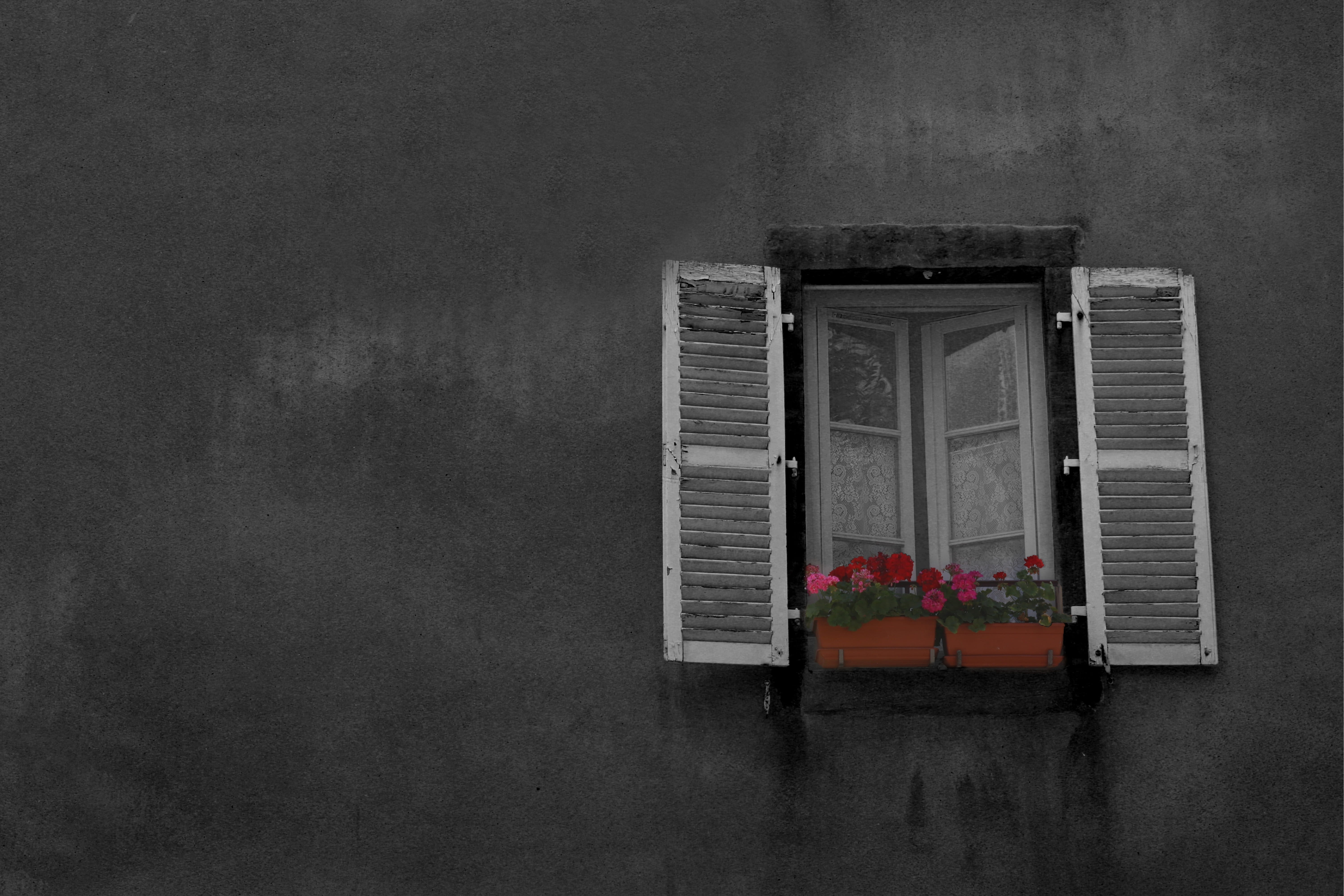 retro Styled, hintergrund, building, minimal, village, no People, black And White, opened, window, dirty, nature, town, pot, white, architecture, history, HD Wallpaper