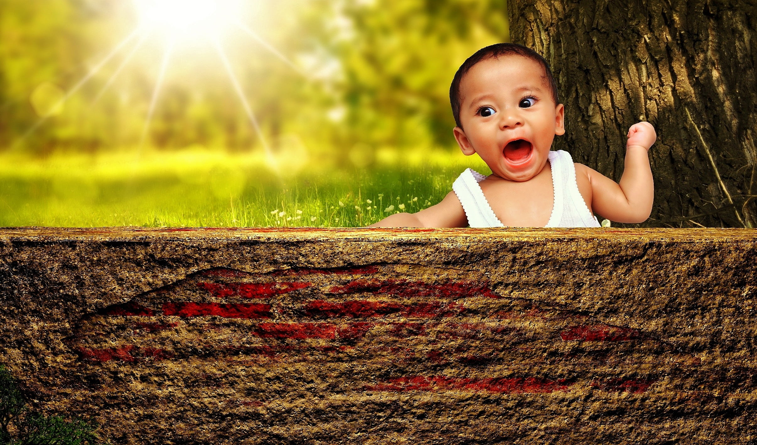 trunk, child, young, mouth, baby, sunlight, wearing, headshot, ranting, one girl only, looking at camera, near, portrait, cute, plant, human body part, HD Wallpaper