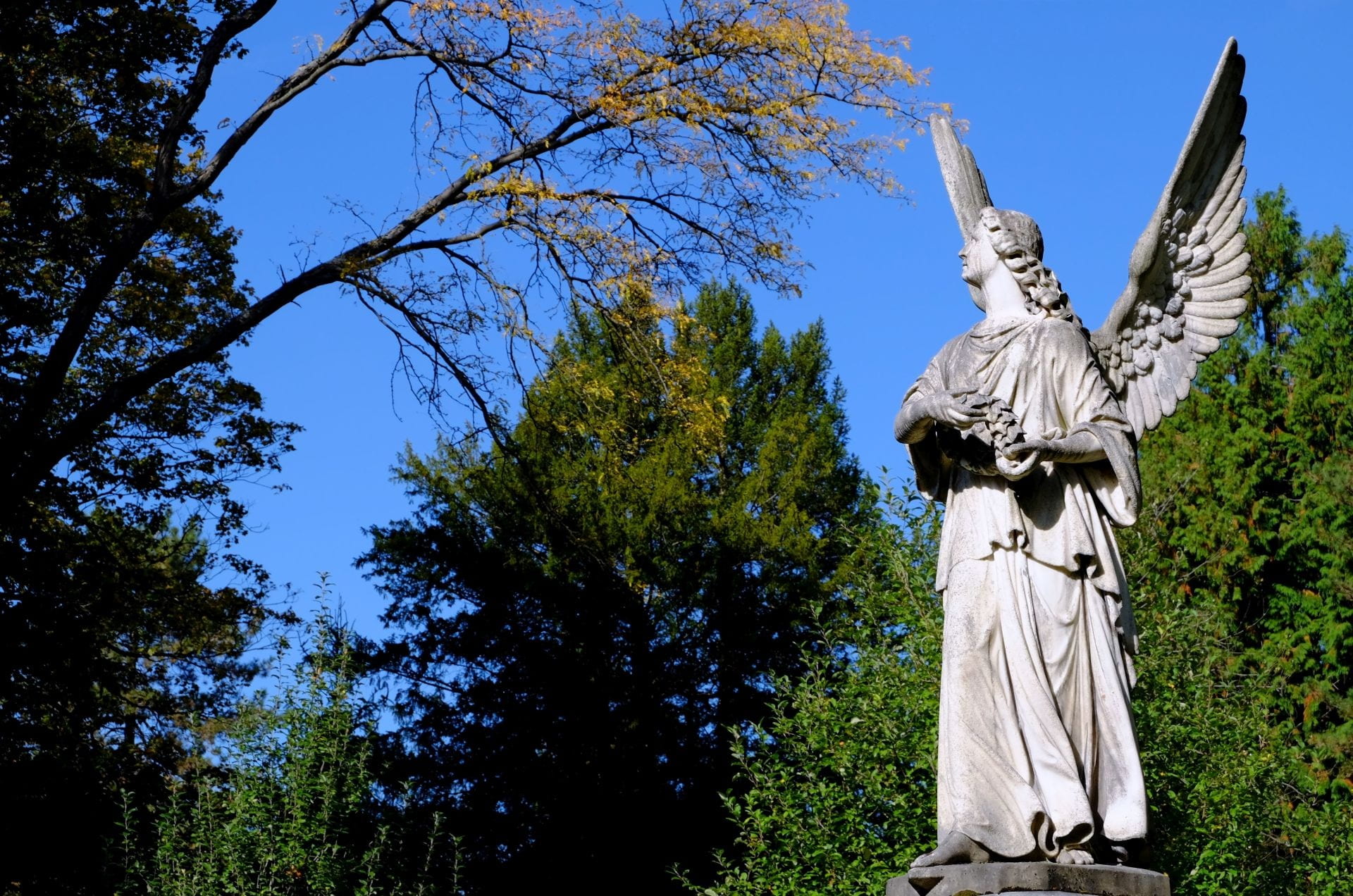 religion, plant, clear sky, art and craft, spirituality, low angle view, sculpture, photograph, messenger of god, angle, representation, angel, day, sky, HD Wallpaper