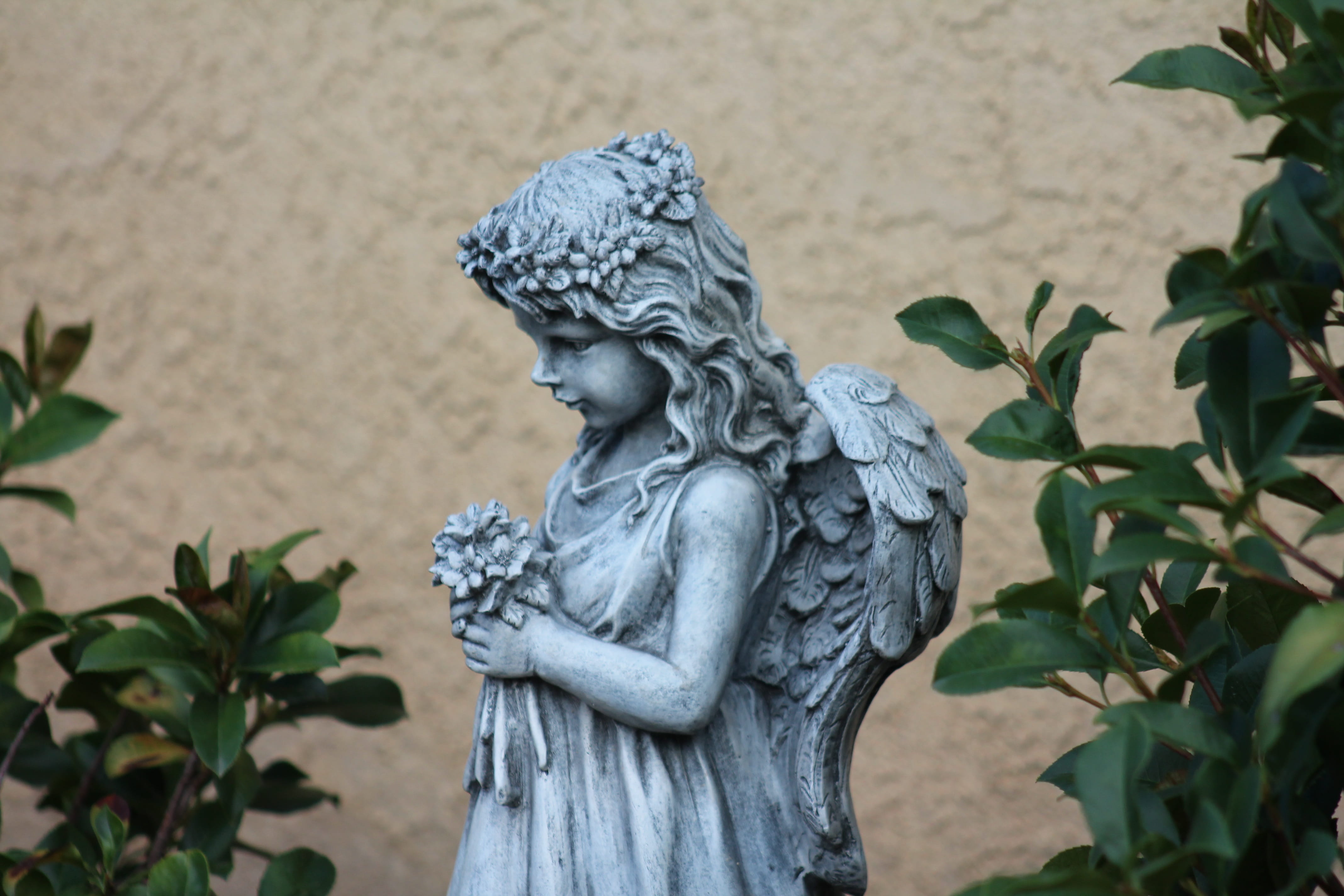 art and craft, plant part, wall - building feature, decoration, human representation, statuette, spirituality, growth, carving, religious sculpture, female likeness, HD Wallpaper