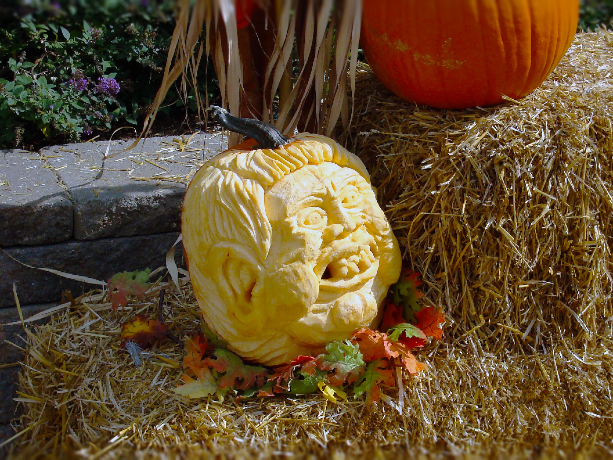 outdoors, nature, celebration, 1080P, freshness, autumn, fun, fall, face, field, hay, october, orange color, food and drink, jack-o-lantern, healthy eating, HD Wallpaper