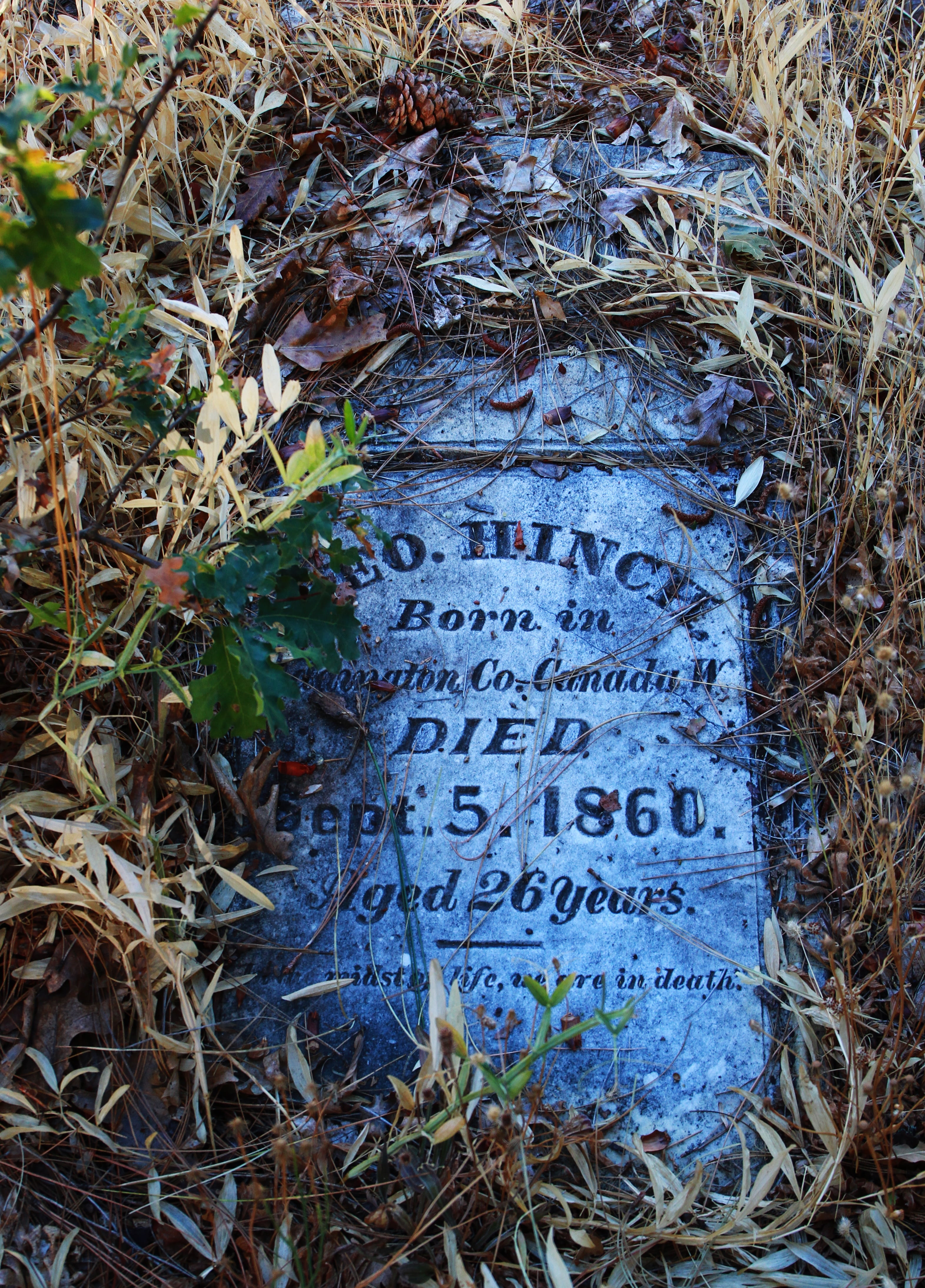 dead, day, graveyard, burial, land, message, grave, heritage, close-up, old, memorial, cemetery, forgotten, marker, broken, plant, architecture, stone, Phone HD Wallpaper