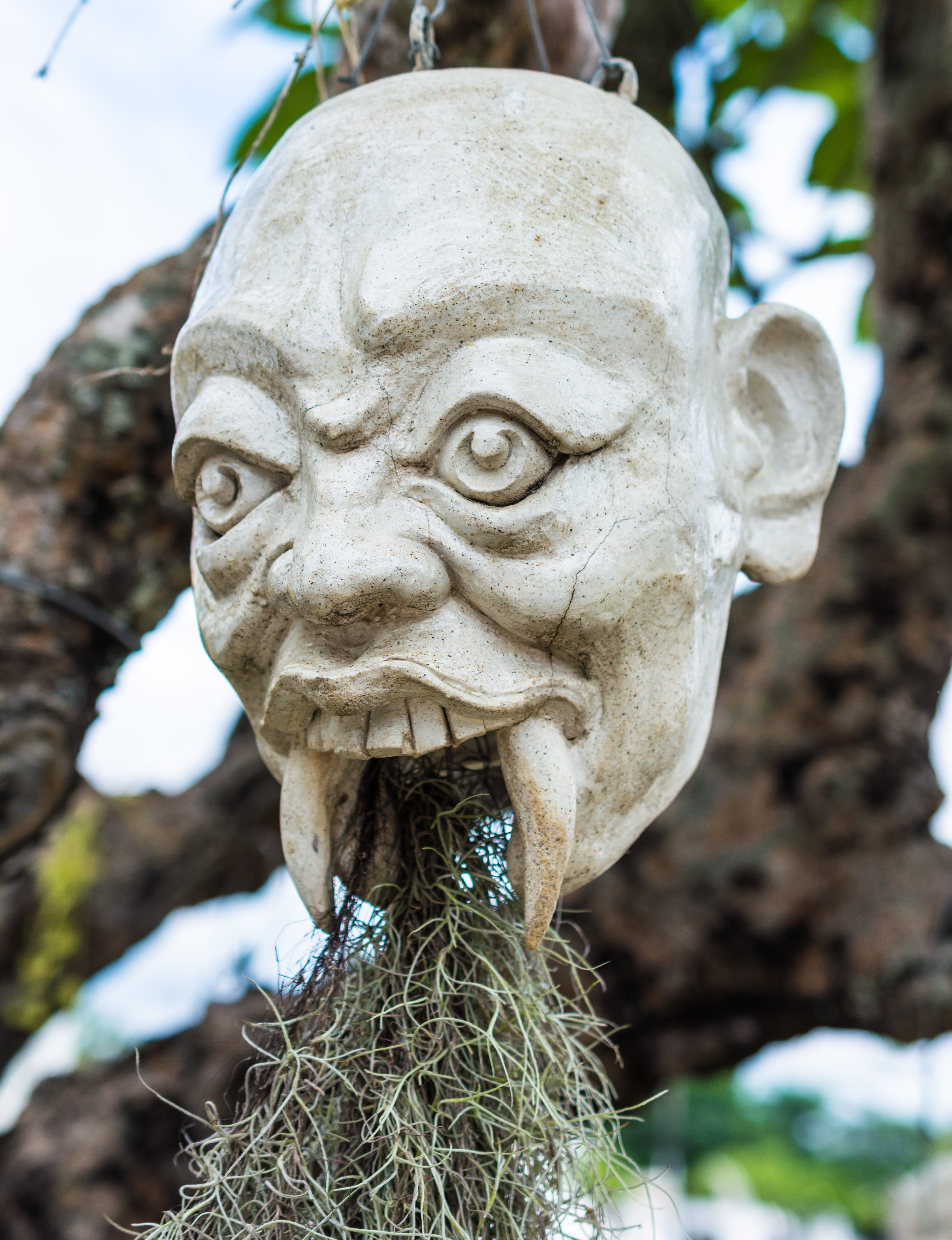 close-up, nature, outdoors, Mask, Sculpture, lion - feline, male likeness, Head, craft, 5K, tree, carving - craft product, solid, no people, plant, focus on foreground, Phone HD Wallpaper