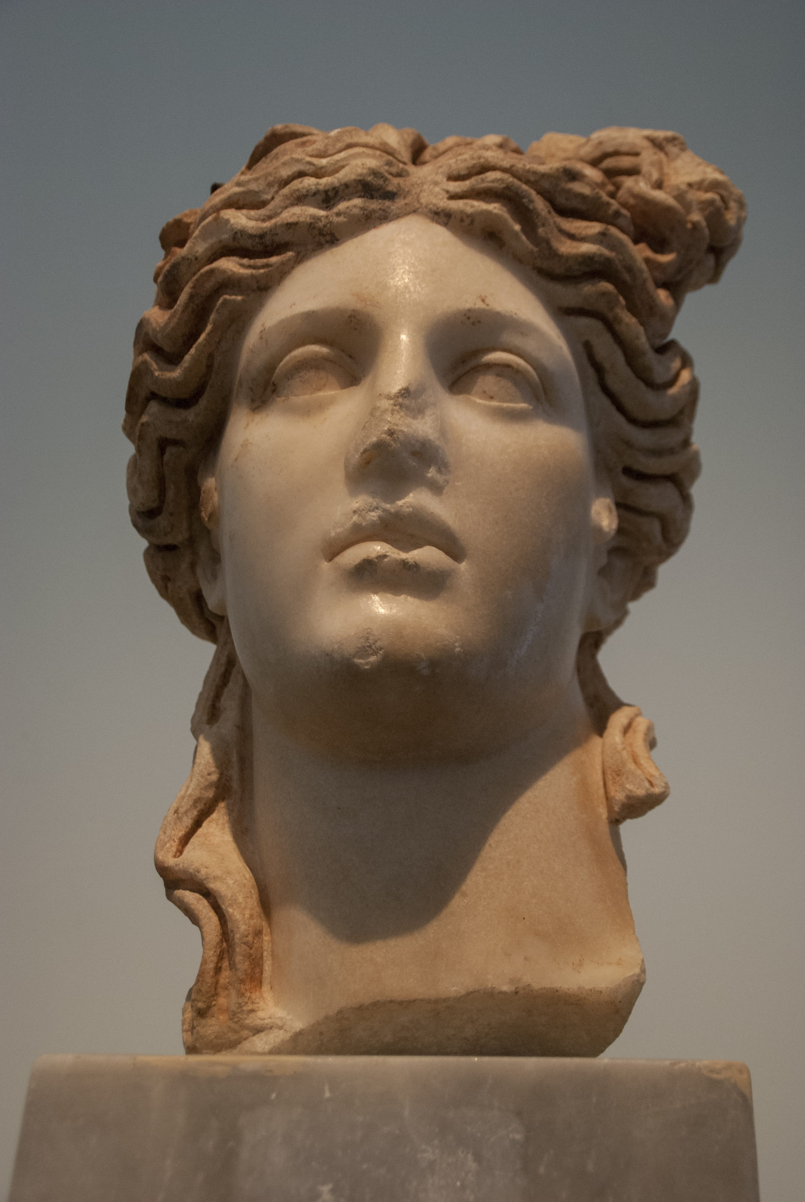 history, creative, no people, classic, female likeness, modern, excavation, male likeness, the past, museum, bust, art, statue, artistic, studio shot, human representation, Phone HD Wallpaper