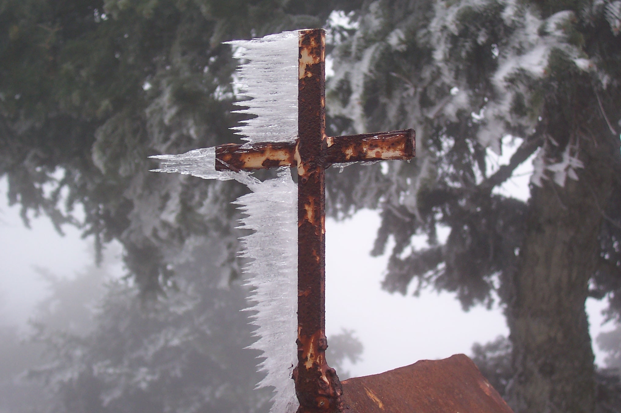 1080P, spirituality, κιθαιρονας, cold temperature, belief, no people, nature, cross shape, religion, focus on foreground, day, cross, tree, crucifix, religious equipment, HD Wallpaper