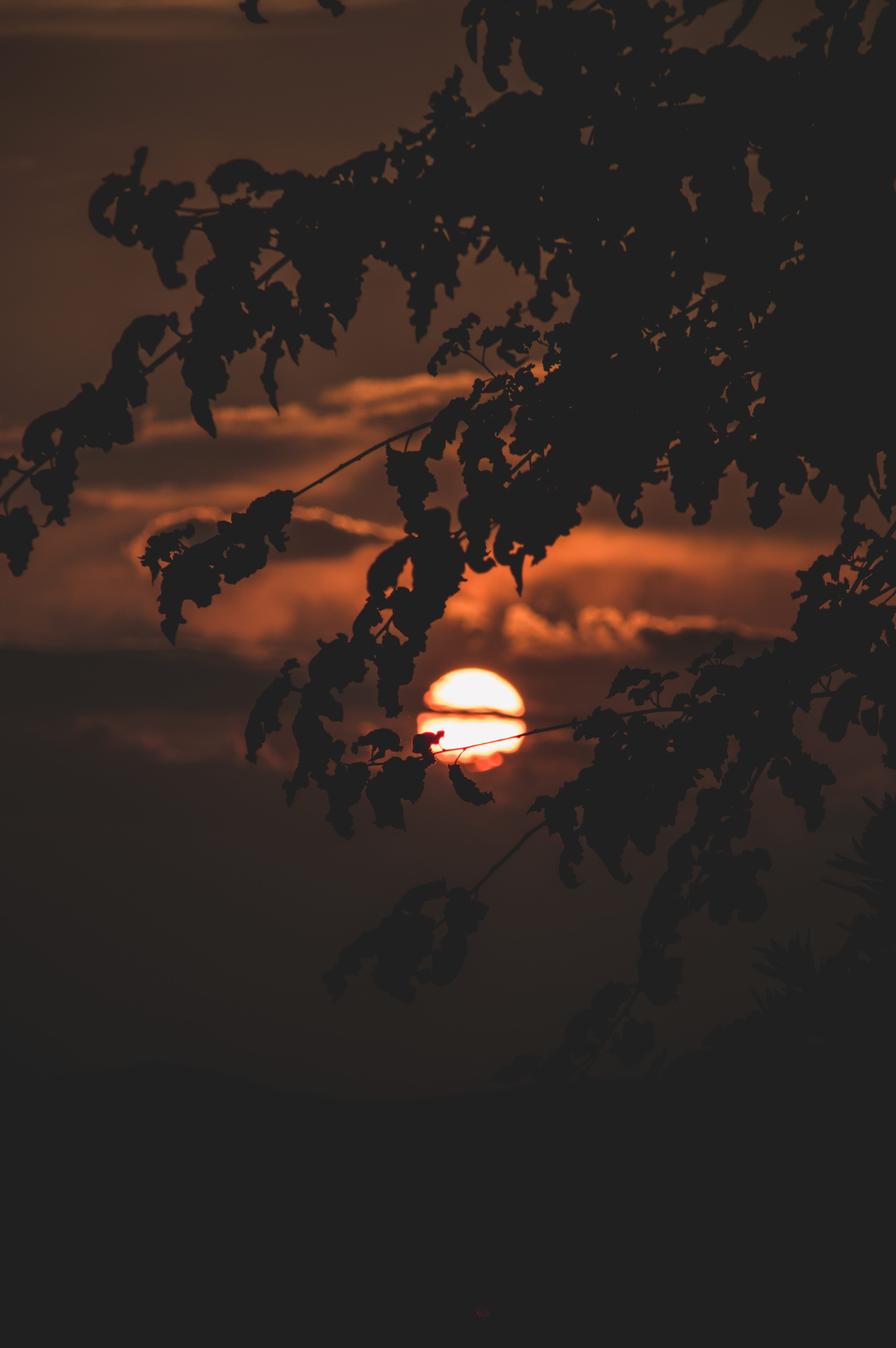 greece, clouds, orange color, outdoors, nature, sun, 5K, plant, decentralized administration of attica, sky, tranquility, idyllic, growth, no people, scenics - nature, Phone HD Wallpaper