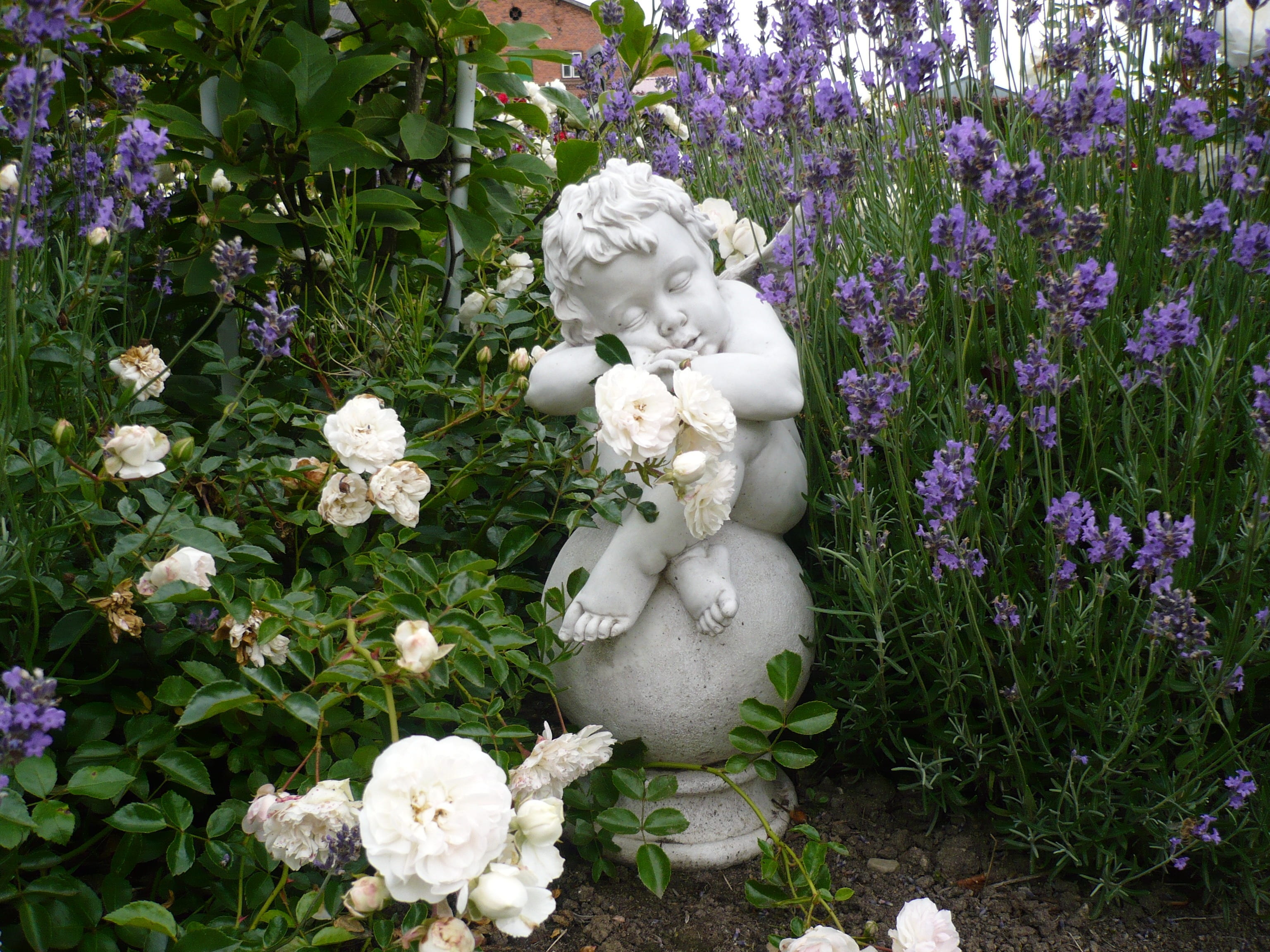 vulnerability, cherub, purple, plant, fragility, 2K, flowerbed, high angle view, sculpture, growth, human representation, no people, representation, day, HD Wallpaper