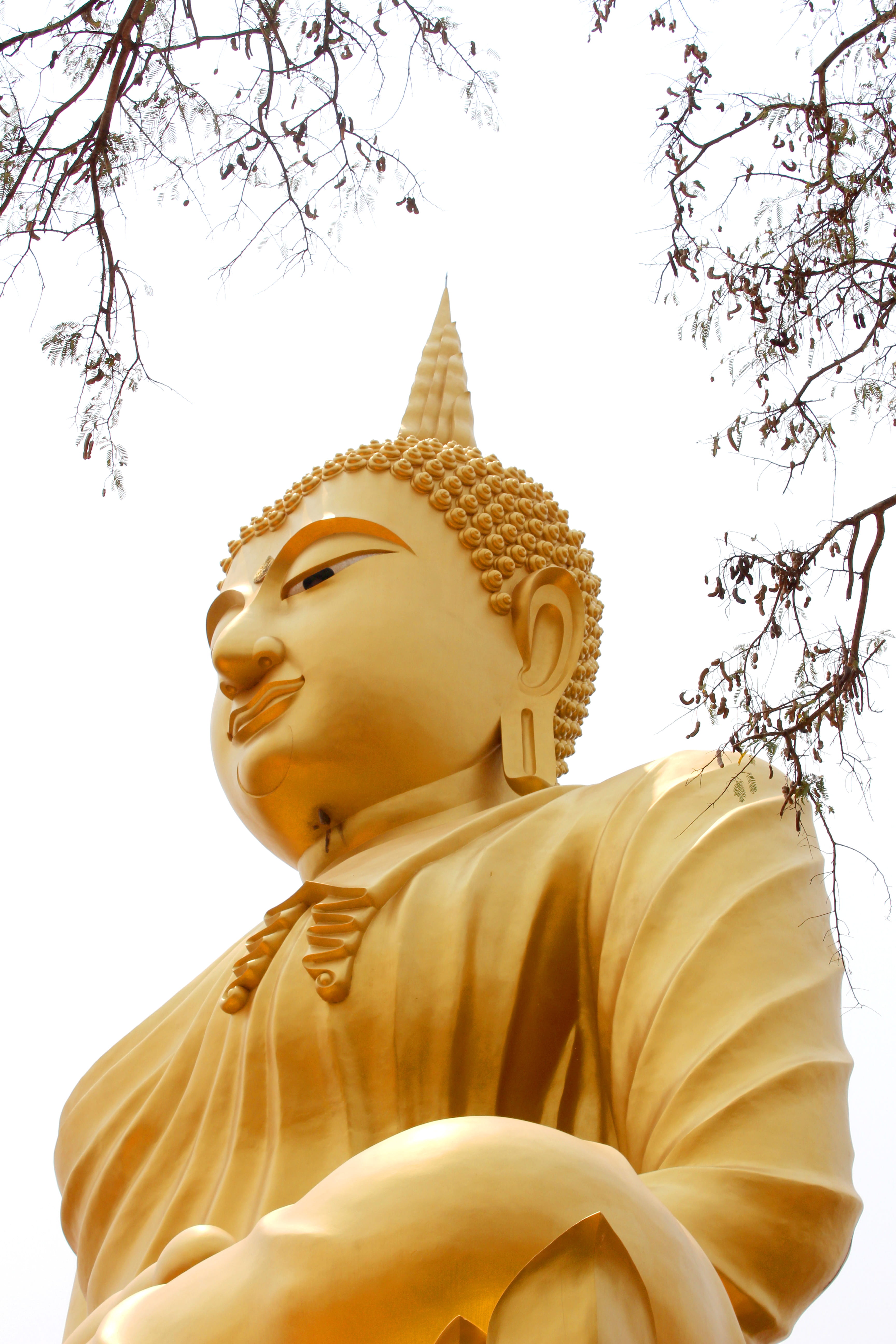 leaves, gold, built structure, statue, buddhist, sculpture, 5K, golden, buddha, representation, human representation, gold colored, belief, antique, ancient, Phone HD Wallpaper