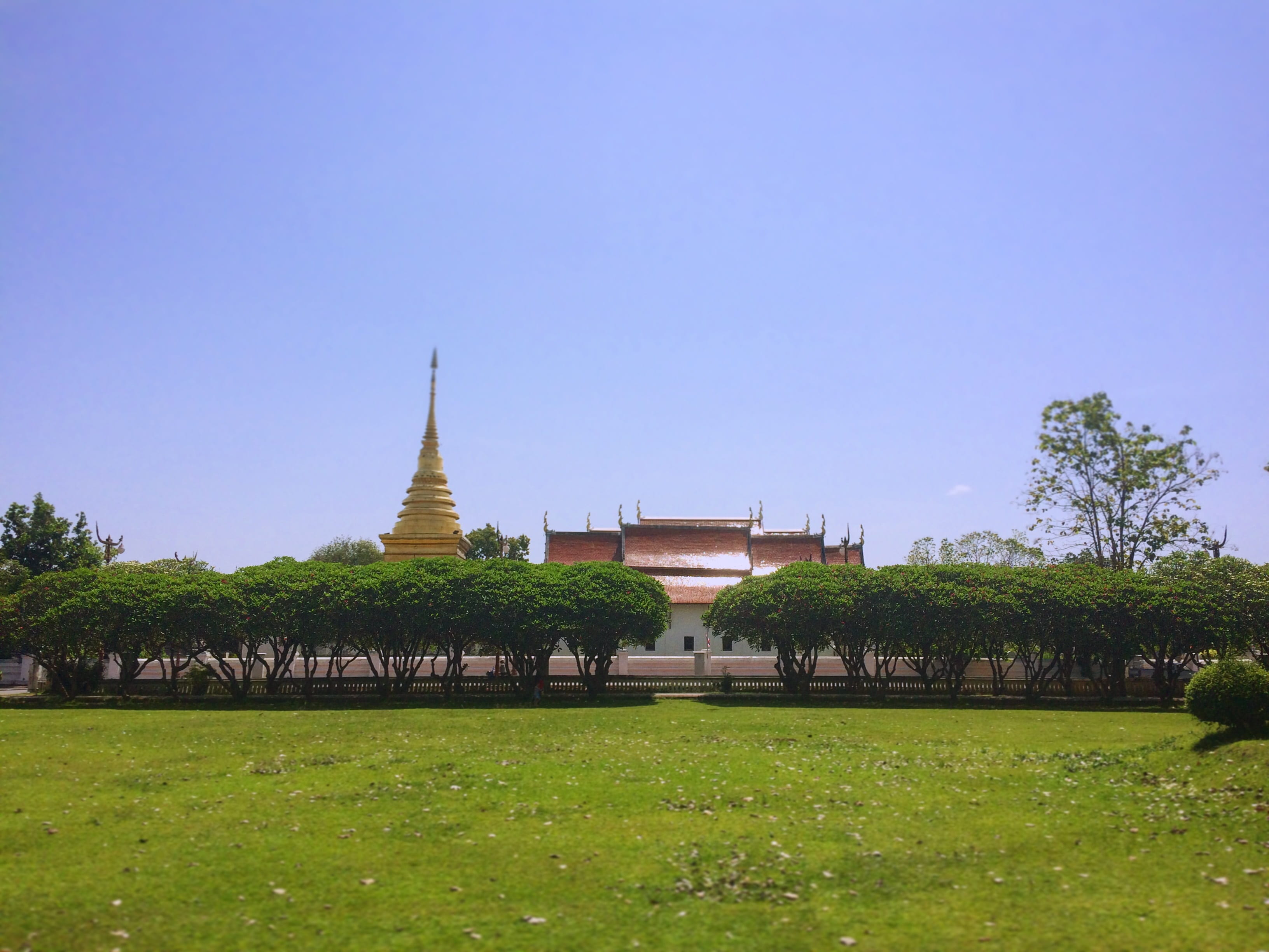 tourism, nature, culture, buddhism, travel destinations, beautiful, plant, travel, building exterior, sky, built structure, belief, city, clear sky, spirituality, HD Wallpaper