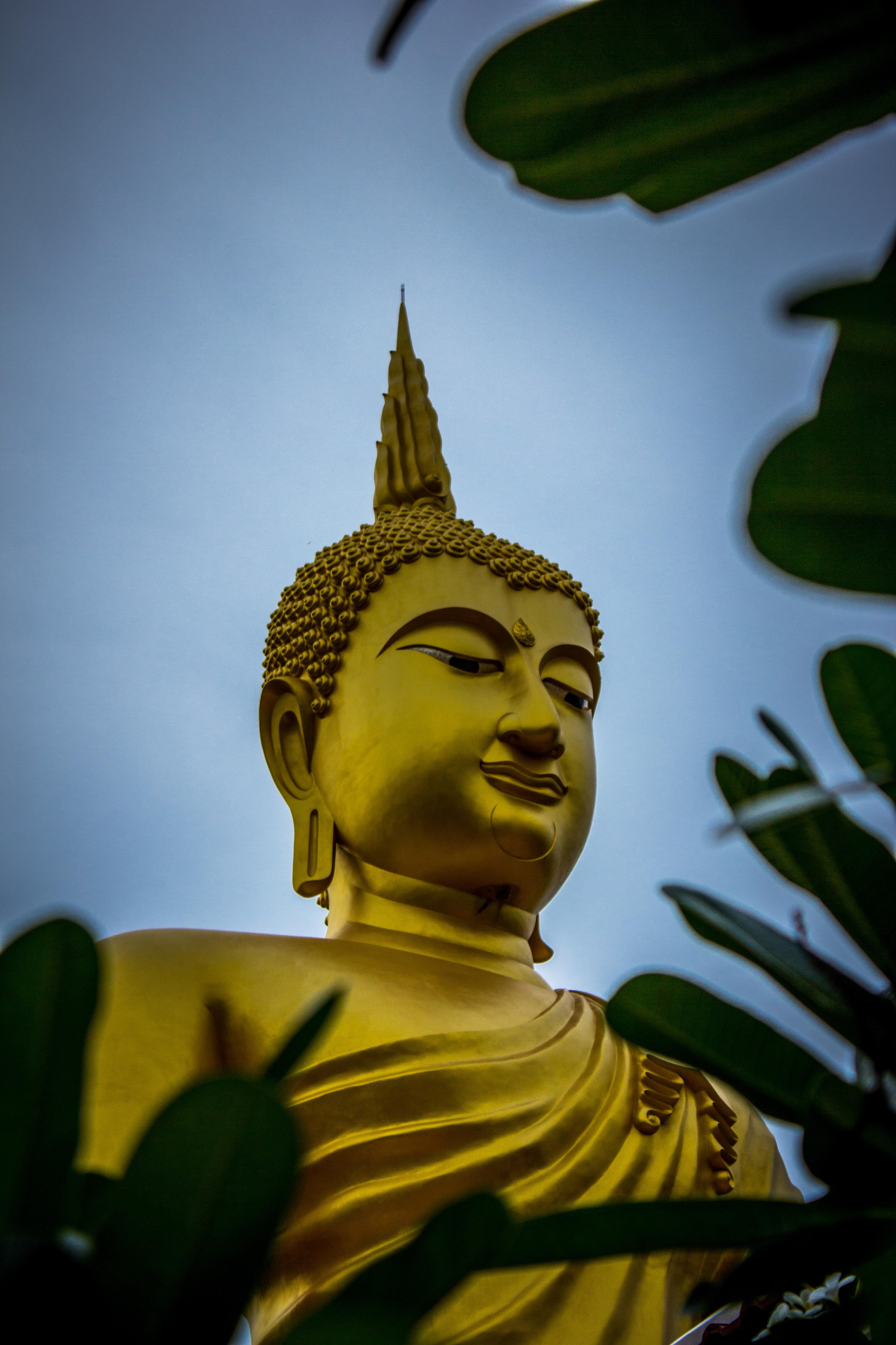 Asian, human representation, worship, gold, gautama, religion, travel destinations, golden, male likeness, spirituality, outdoors, low angle view, gold colored, Phone HD Wallpaper
