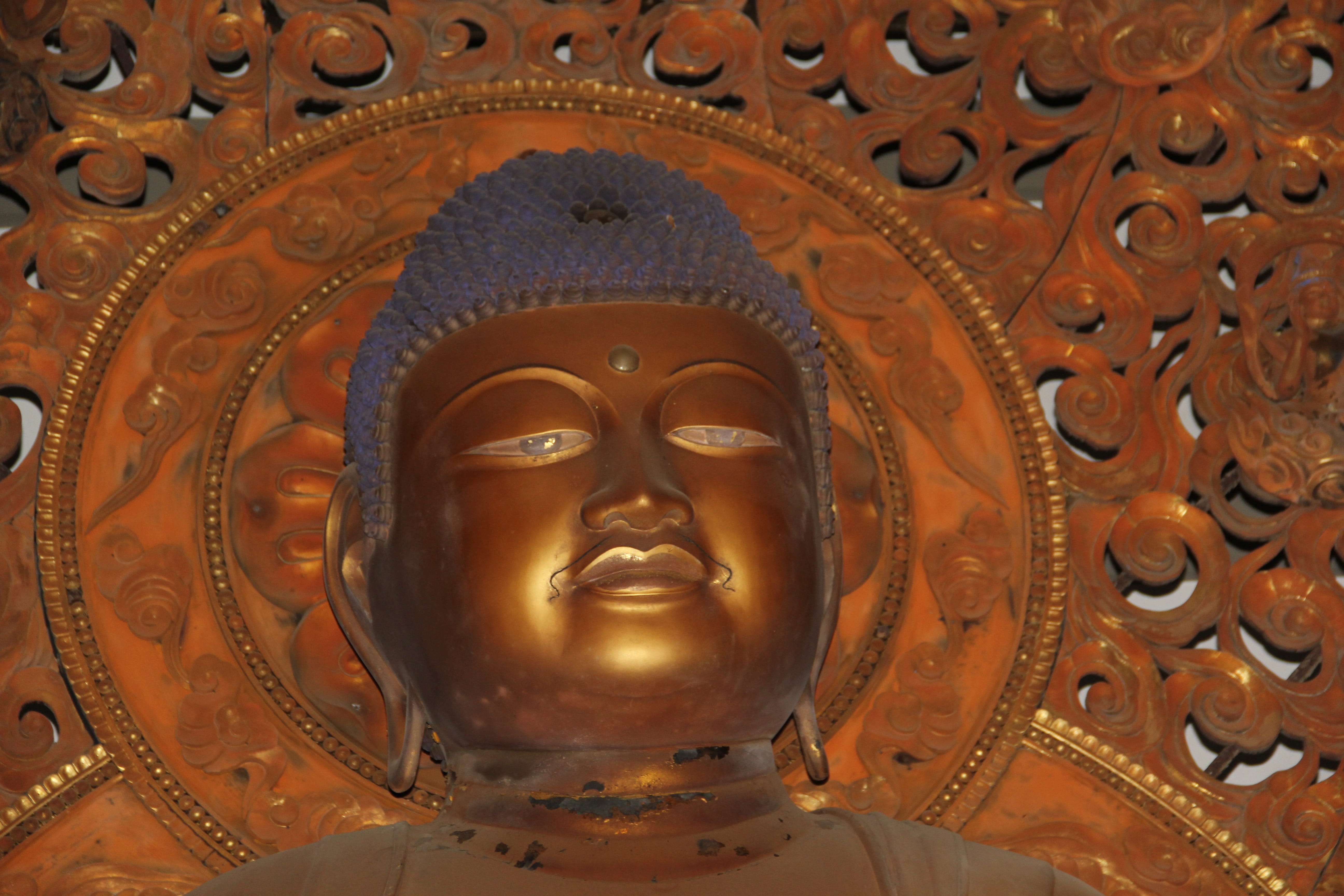 ceiling, 5K, face, creativity, architecture, art and craft, sculpture, close-up, representation, spirituality, craft, statue, building, Religion, low angle view, HD Wallpaper