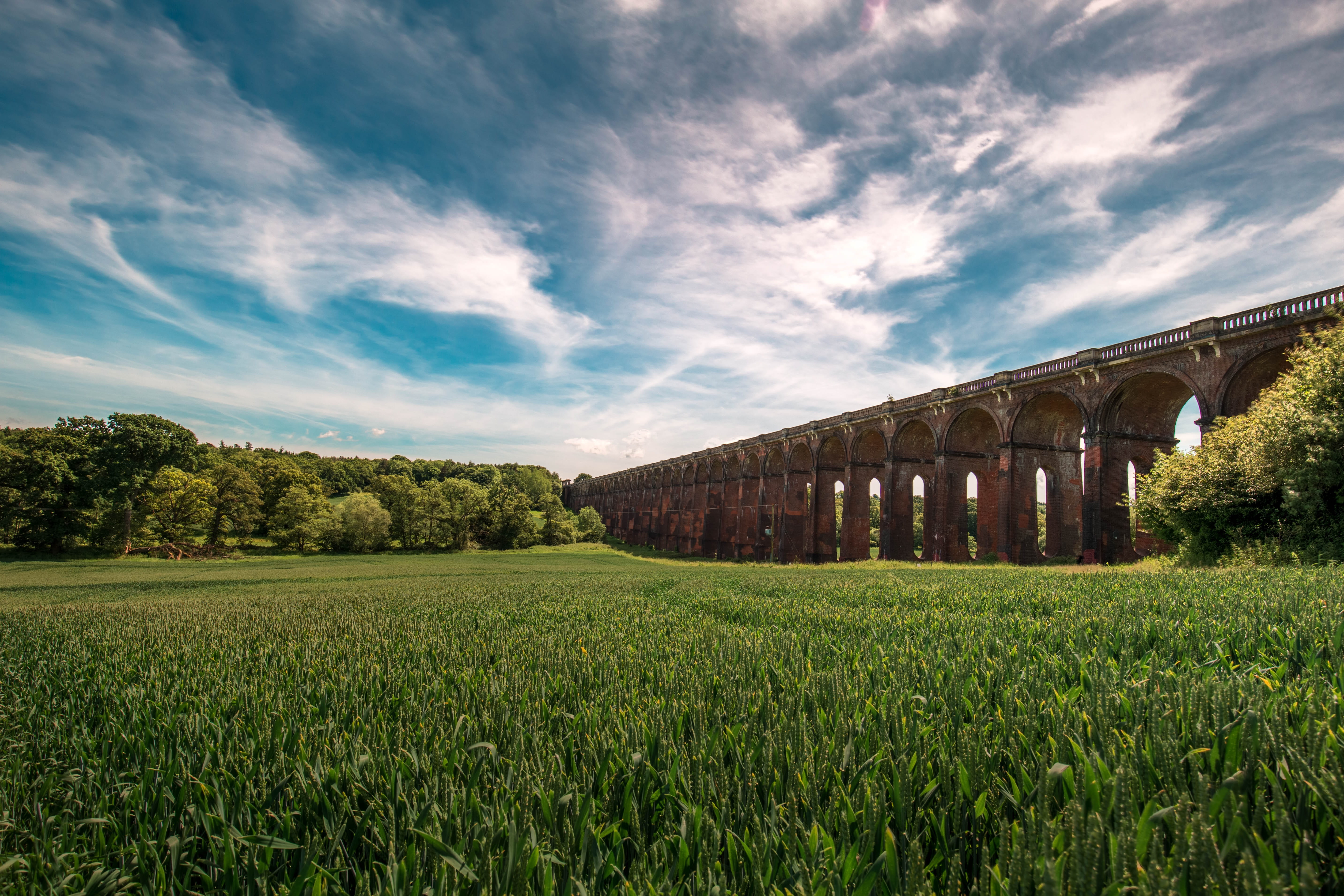 beauty in nature, near, land, wall, growth, outdoor, tree, architecture, railroad, environment, agriculture, outdoors, no people, landscape, nature, day, HD Wallpaper