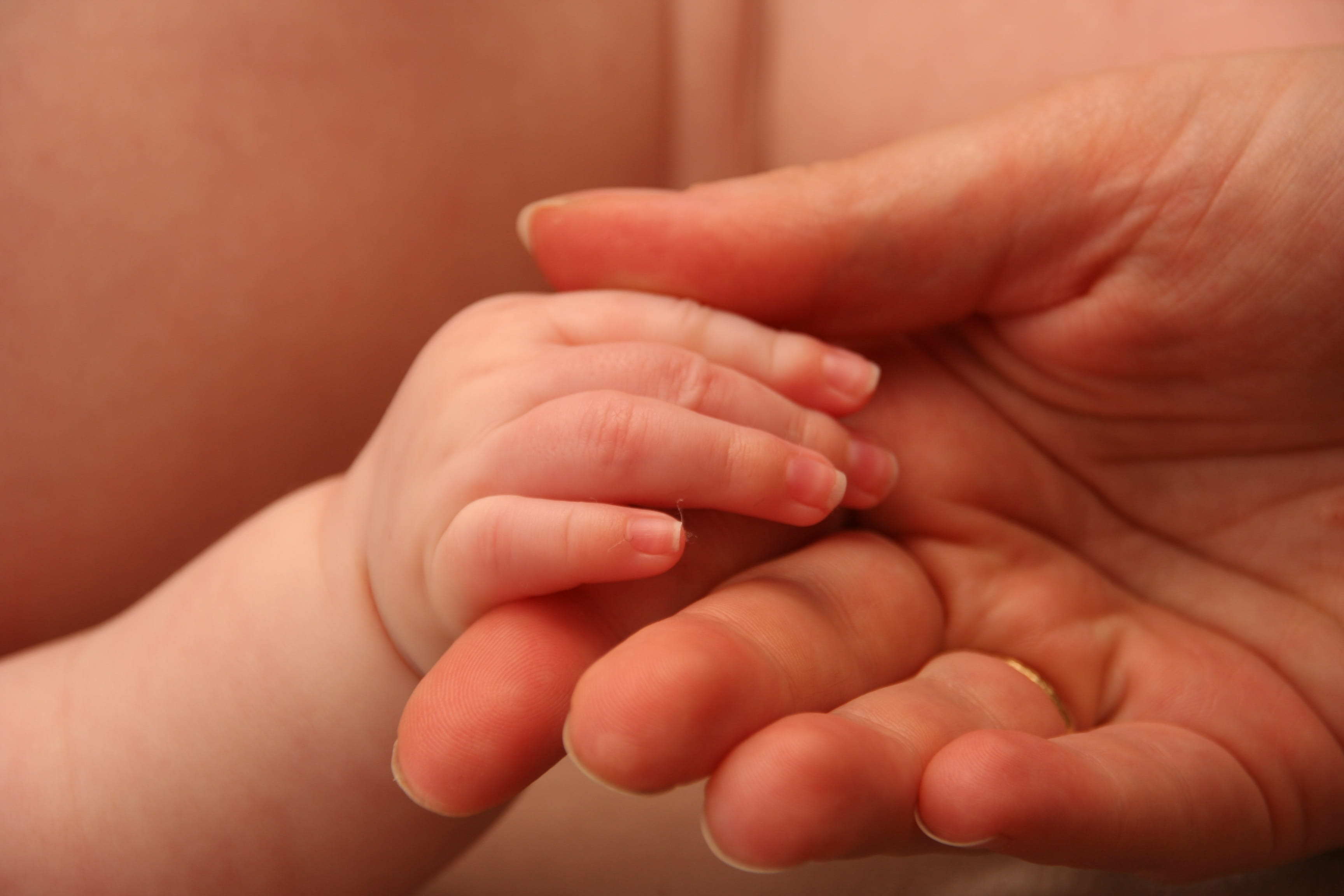 grip, human hand, body part, women, family, family with one child, young, care, people, baby hand, finger, 2K, parent, hand, baby, newborn, son, innocence, HD Wallpaper