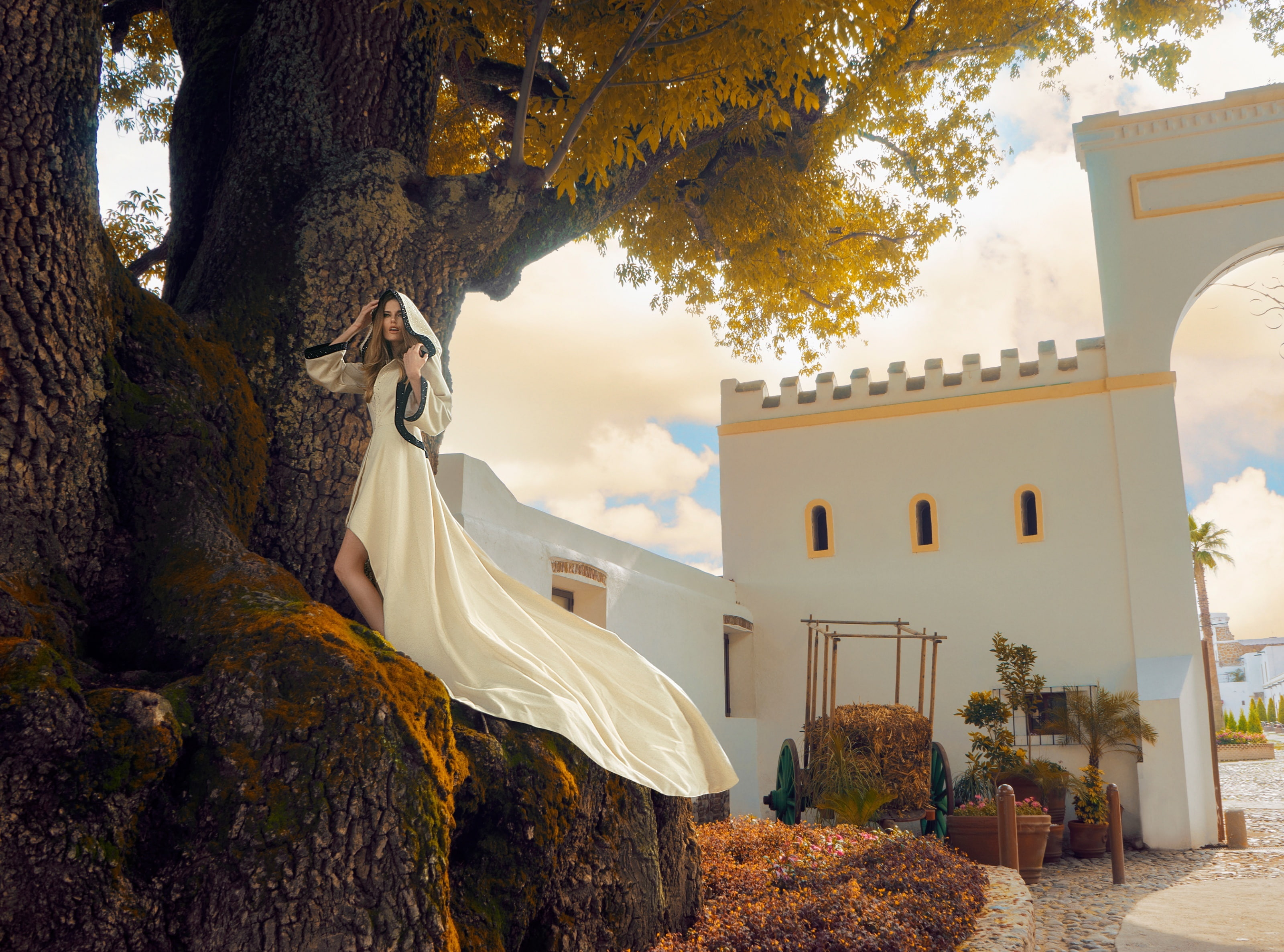 Outdoor, hoodcape, Photography, People, Model, building exterior, Story, tree trunk, nature, no people, Outfit, Outside, growth, Fashion, Walls, religion, HD Wallpaper