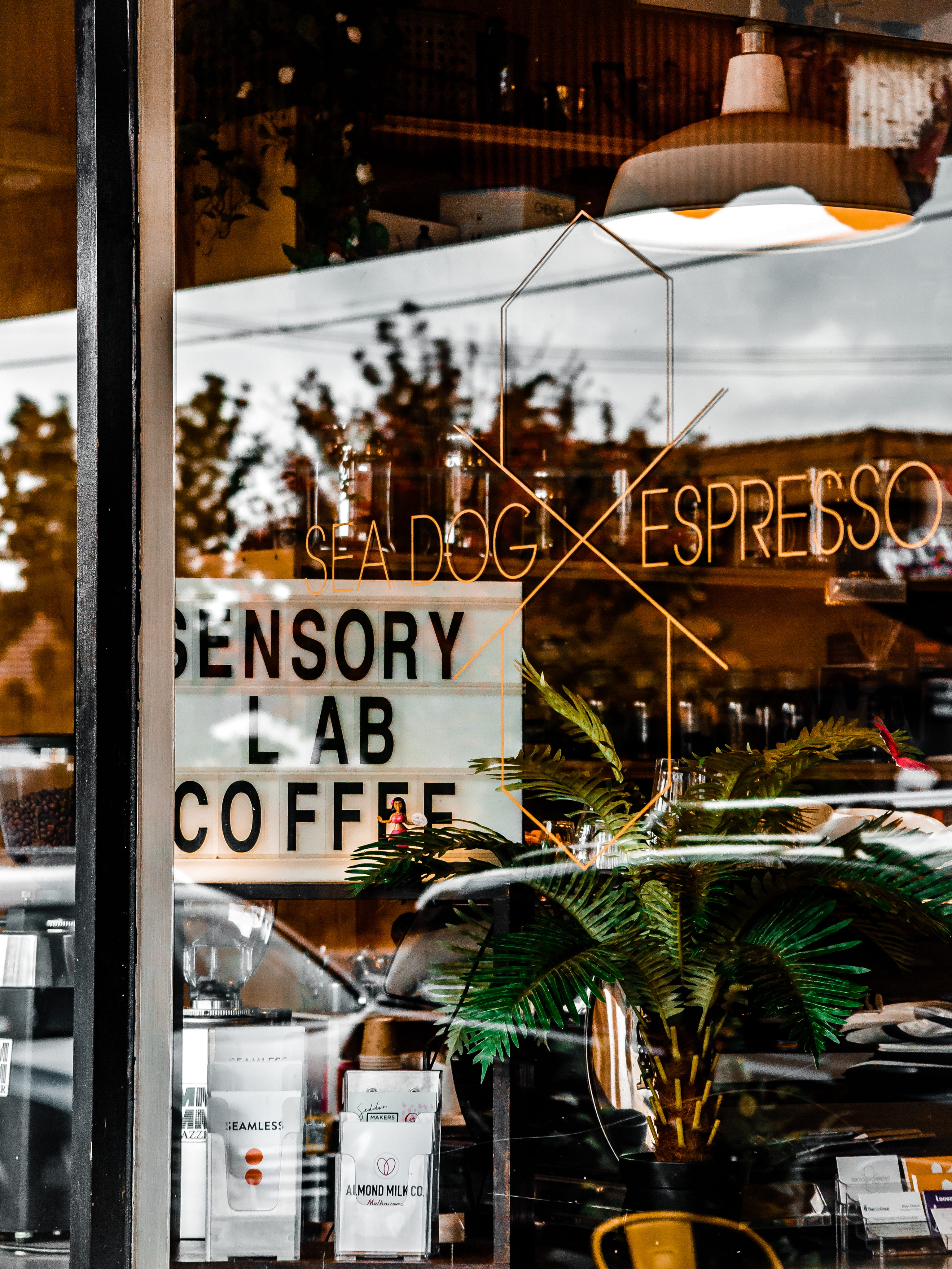 uSA, coffee shop, new York City, business, Coffee, sign, plant, mercantile establishment, glass - material, retail, window, number, western script, store, Phone HD Wallpaper