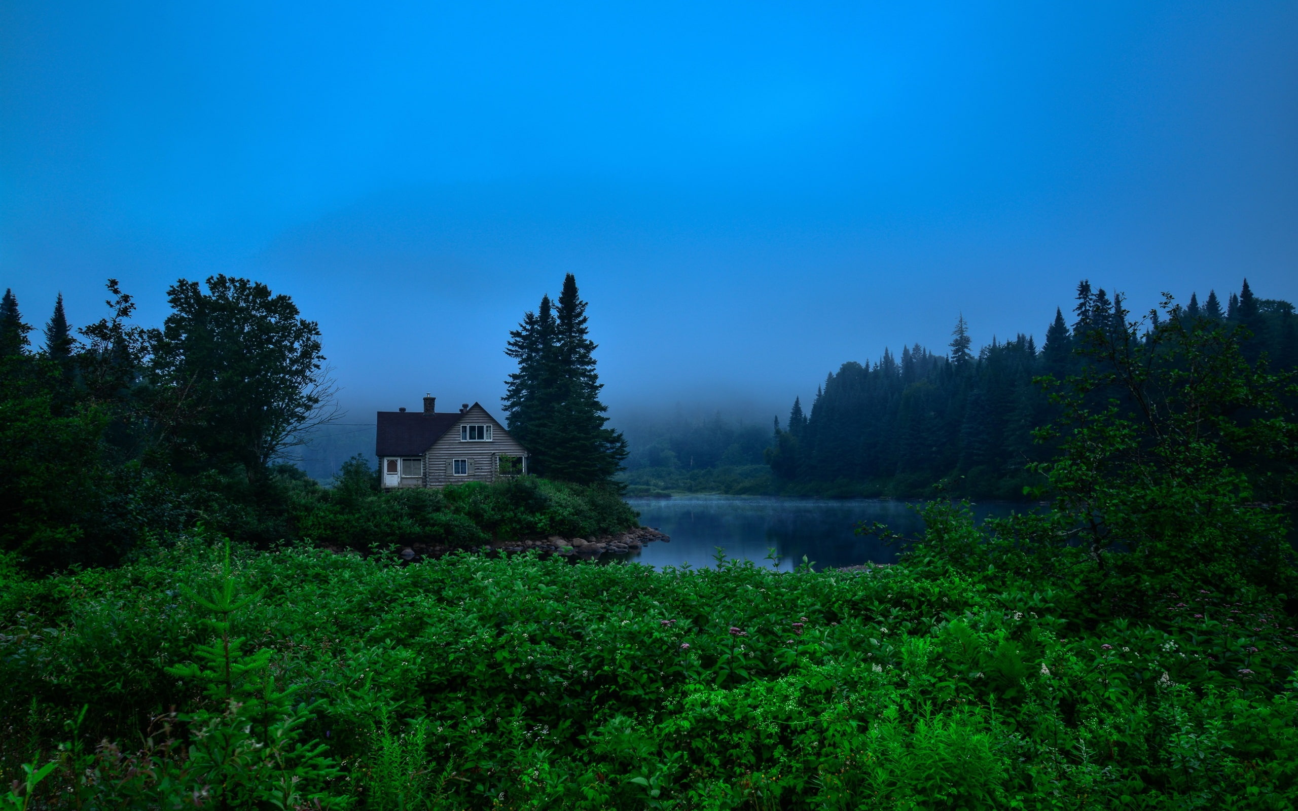 Trees, Canada, Cartier, Fog, 2K, Dawn, River, near, grey, black, water, House, wooden, Jacques, Park, HD Wallpaper