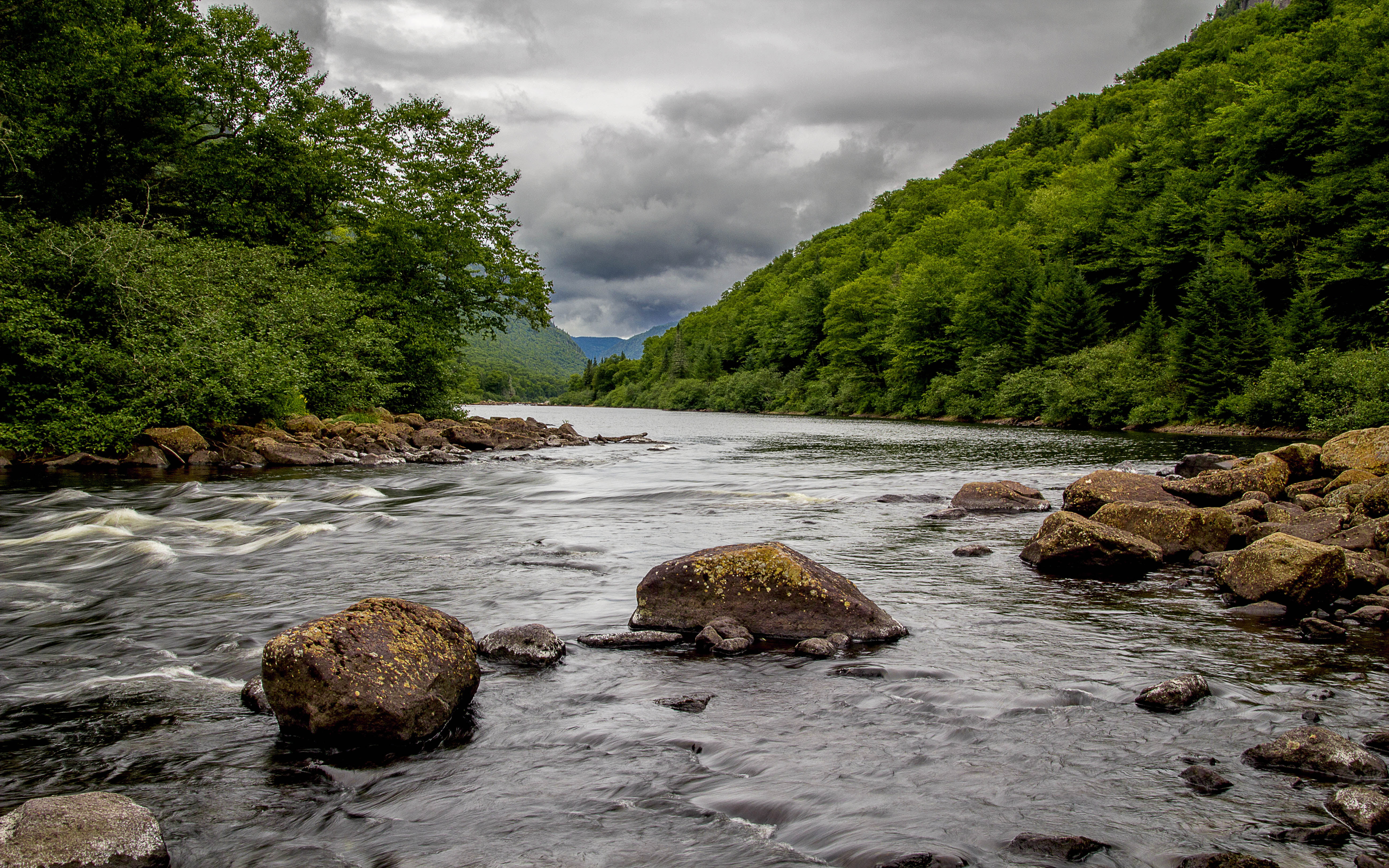 nature, tranquil scene, stream - flowing water, 5K, tree, national, non-urban scene, day, flowing water, cartier, quebec, river, idyllic, outdoors, flowing, HD Wallpaper