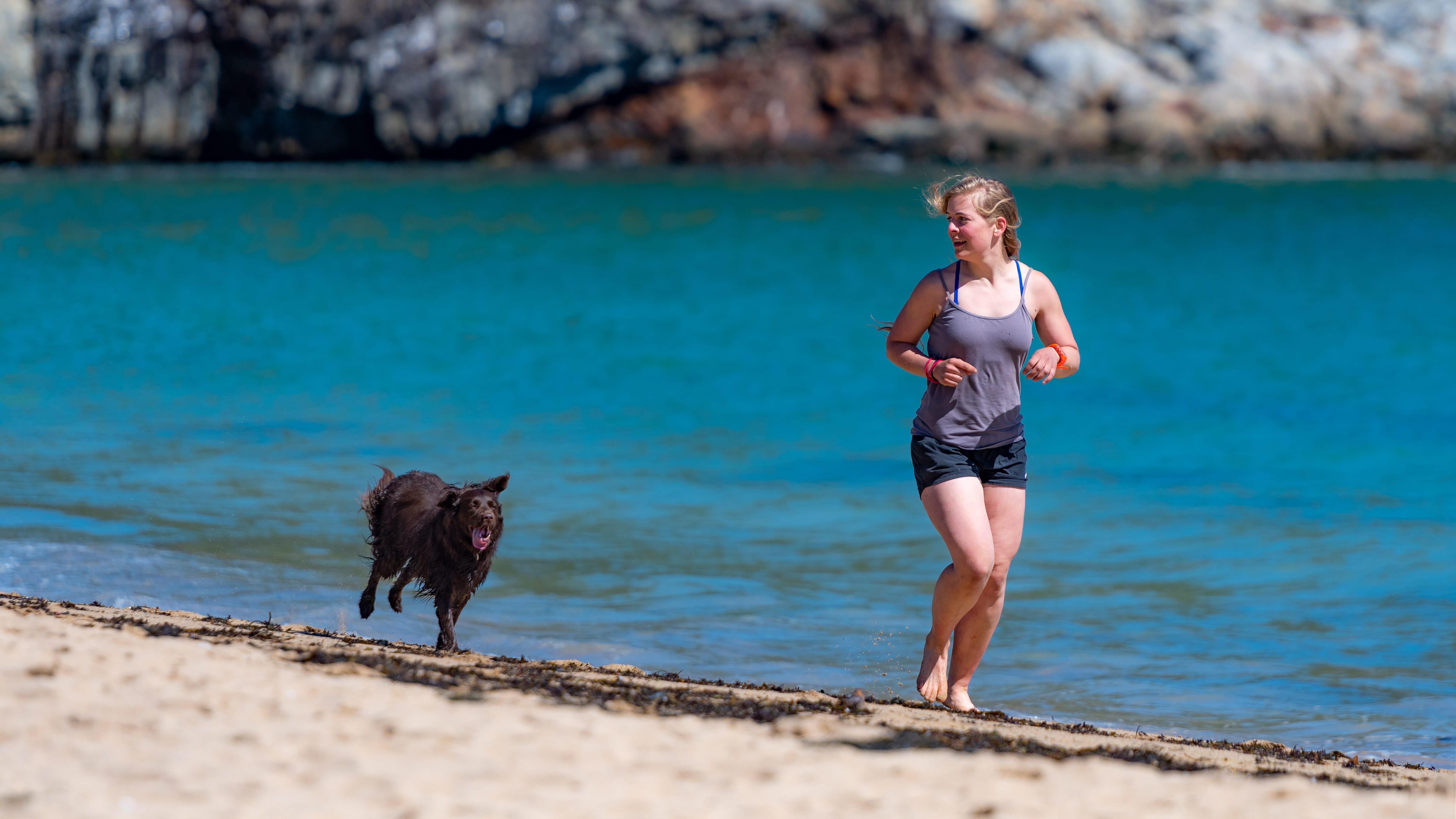 people, ocean, ocean path, person, vacations, young adult, bar harbor, land, sand, sport, leisure activity, shorts, real people, 4K, lifestyles, dog, beach, HD Wallpaper